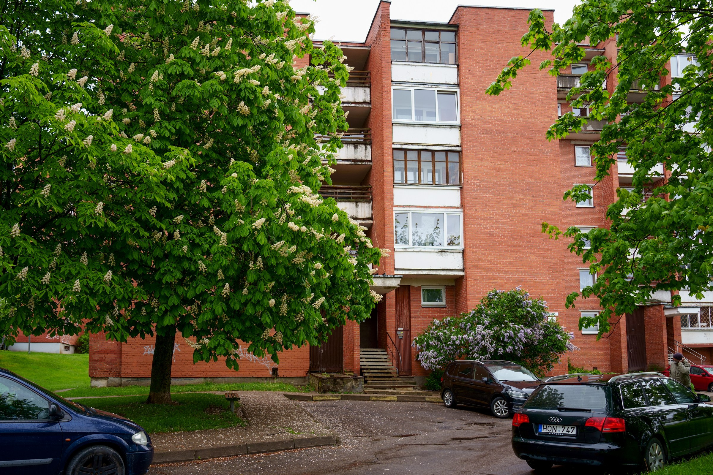 Ateities g. 1. Elina Sapiega fotografė Vilniuje