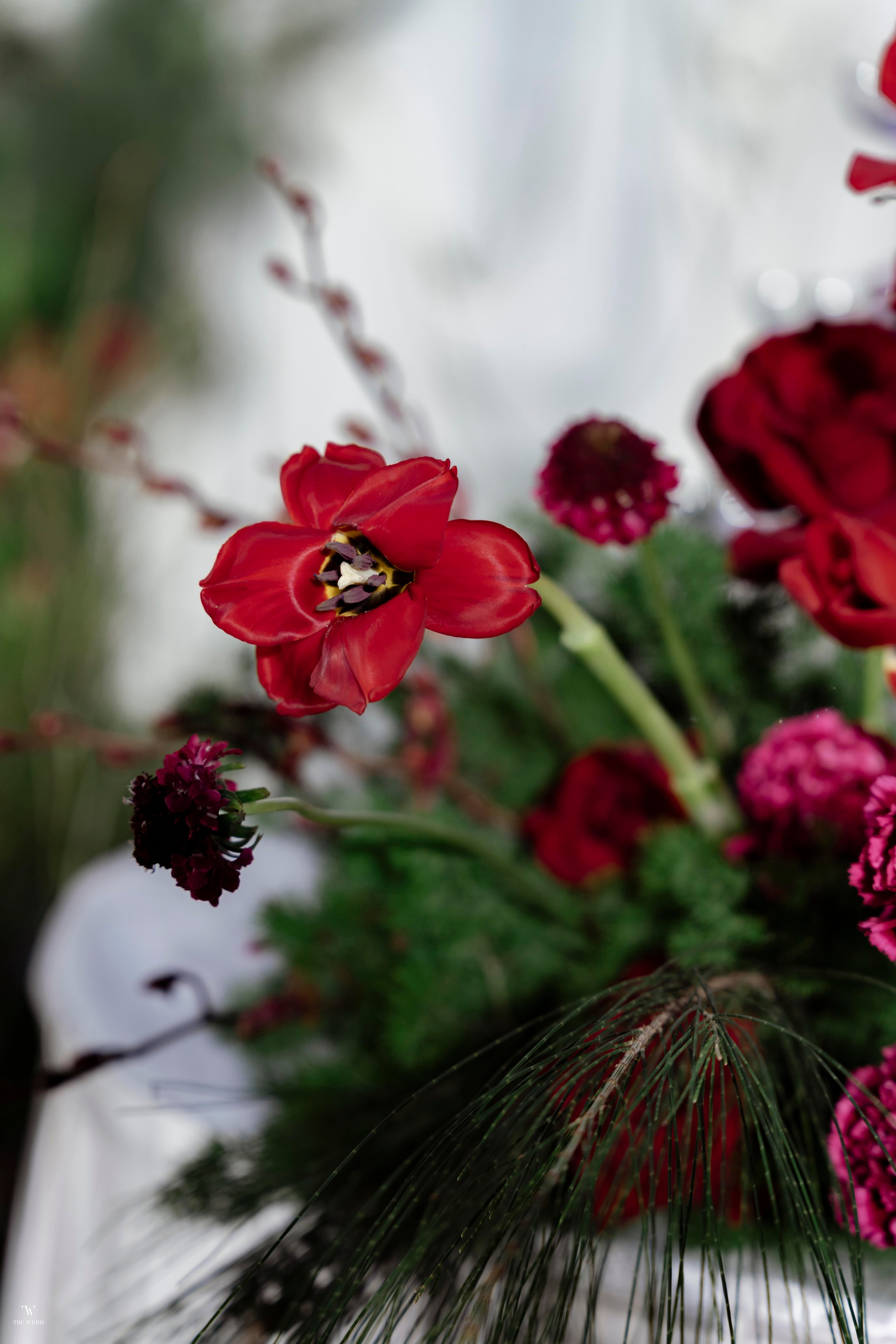 NGHIA & NGOC. WEDDING PHOTOGRAPHER IN VIETNAM