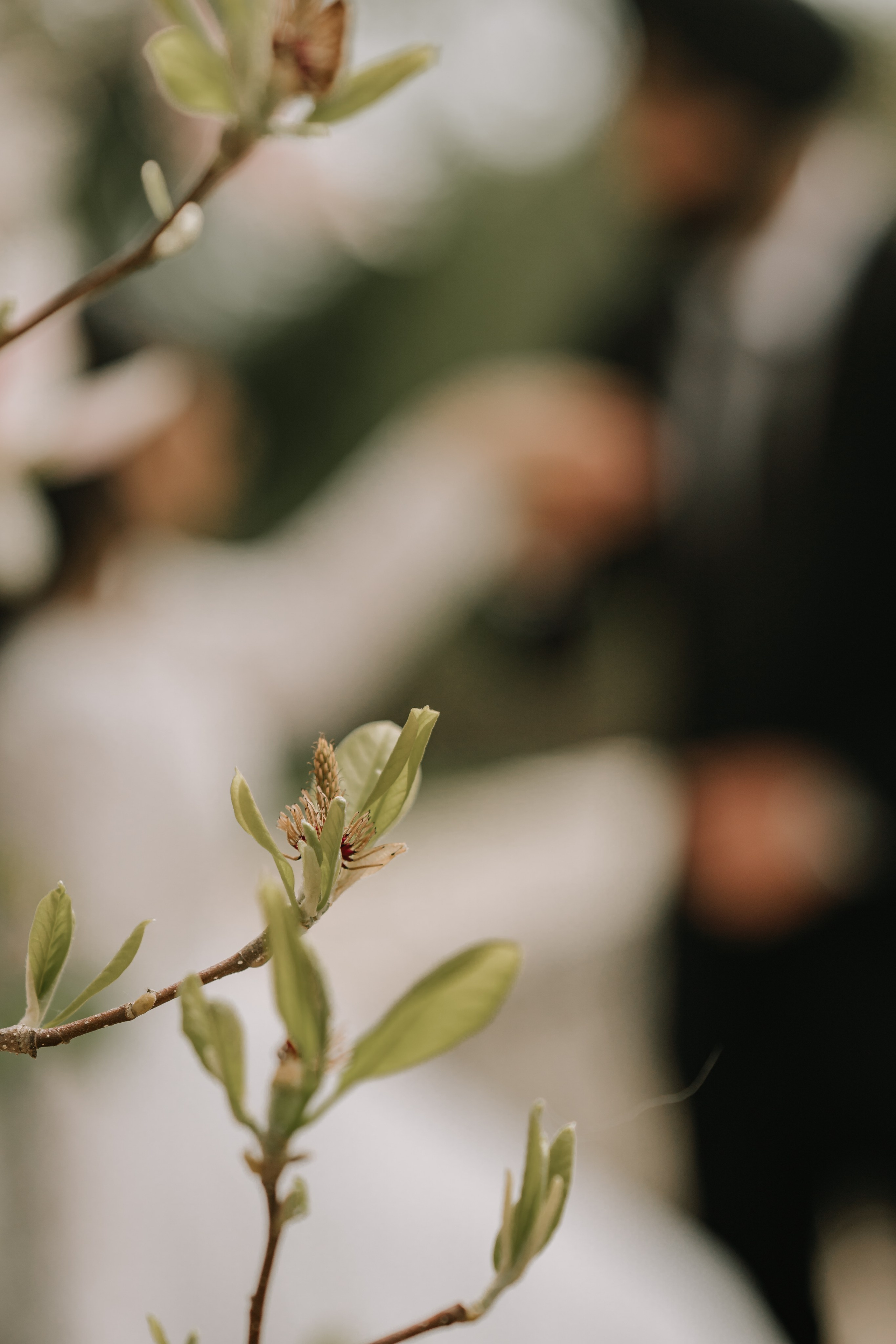 Gagan & Jasmeen. Wedding Photographer & Cinematographer studios