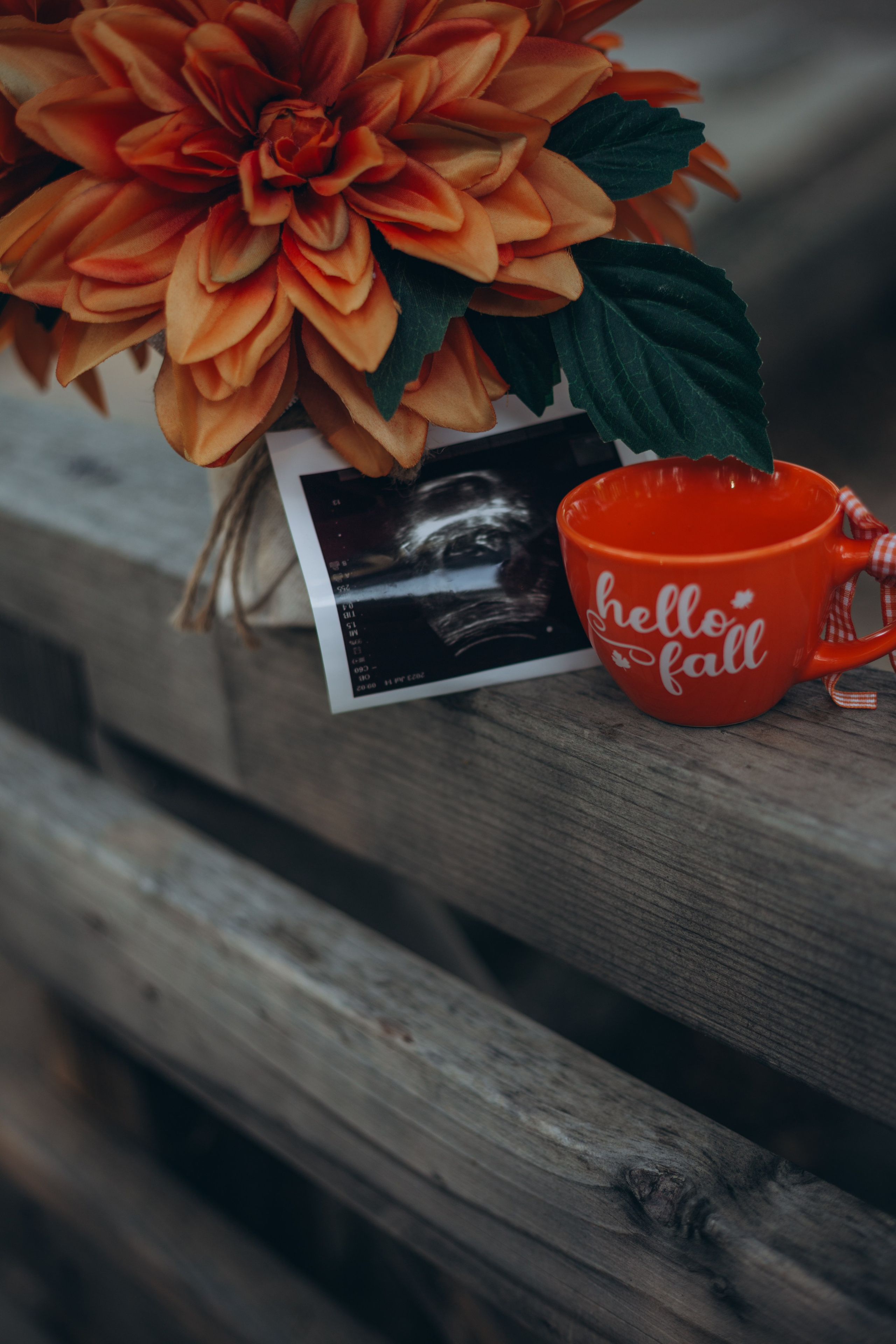 Wonderfule Pregnancy. Family and children’s lifestyle photographer Elena Tumanova