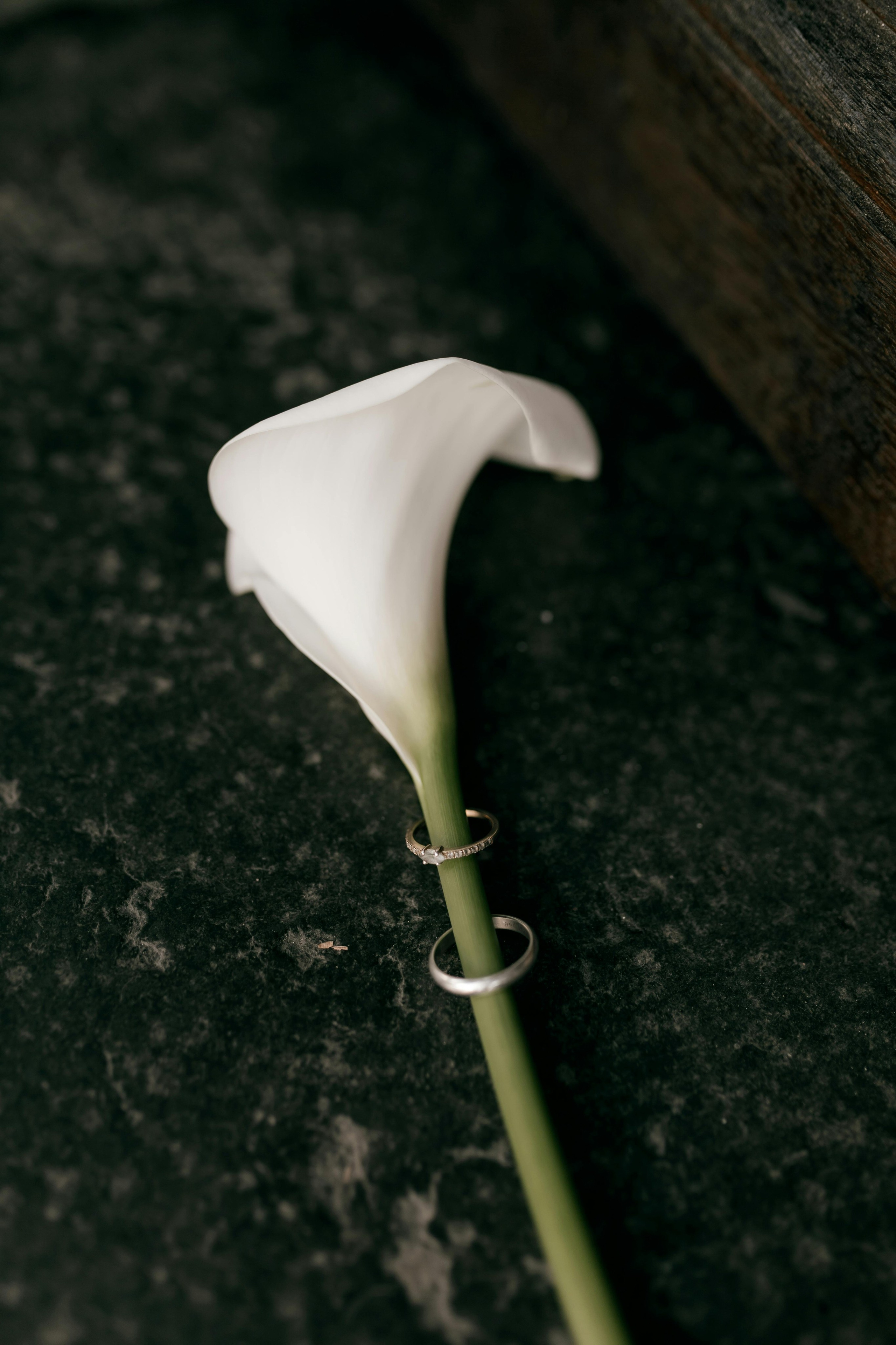 Warm family & Wedding stories