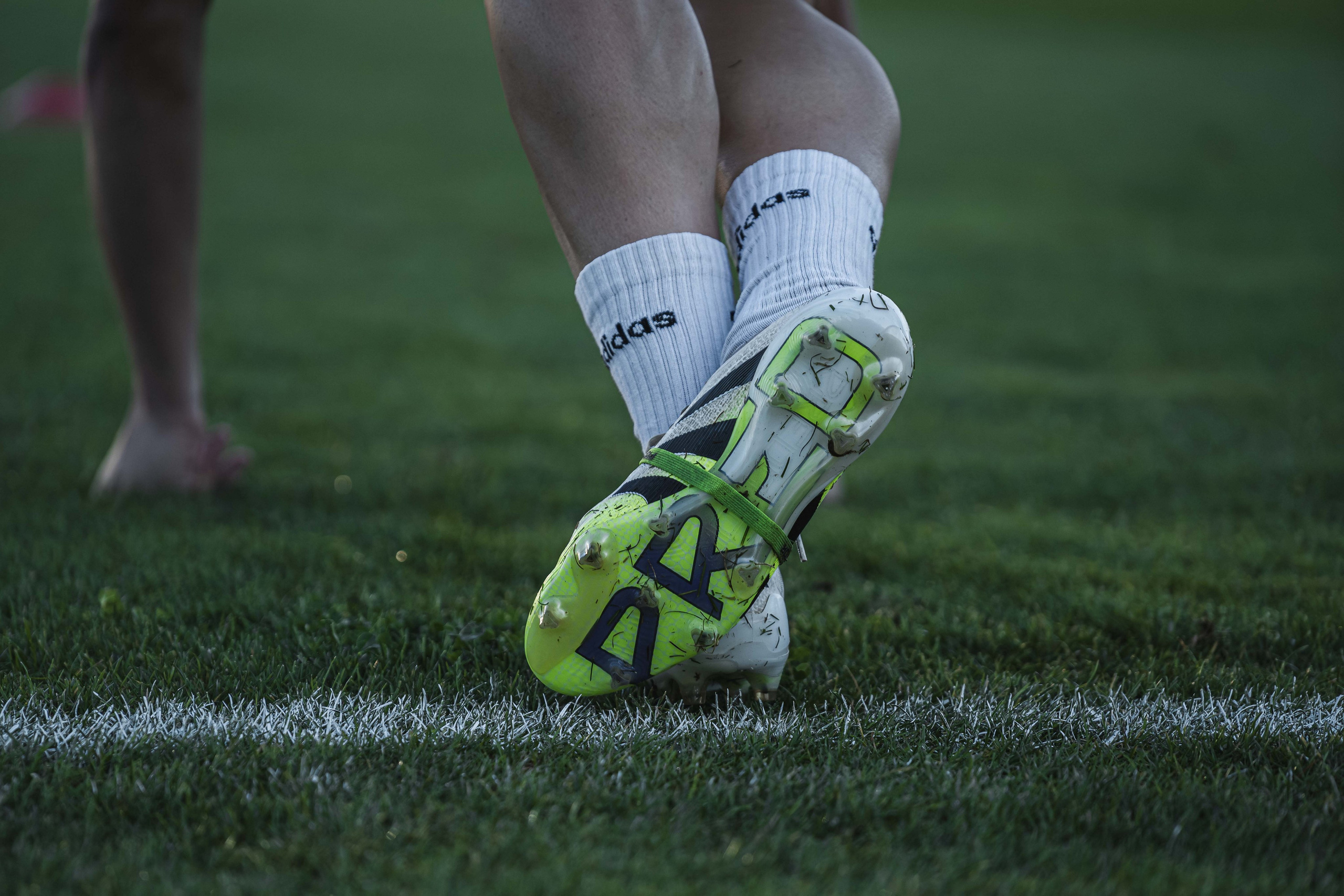 FK Sarajevo — 2025/2026