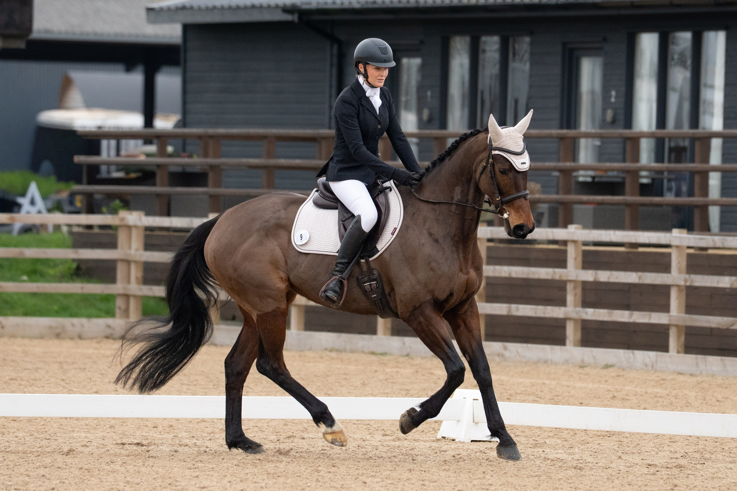 Dressage. Leicestershire Equine Photography by El | Authentic Equine Portraits & Events