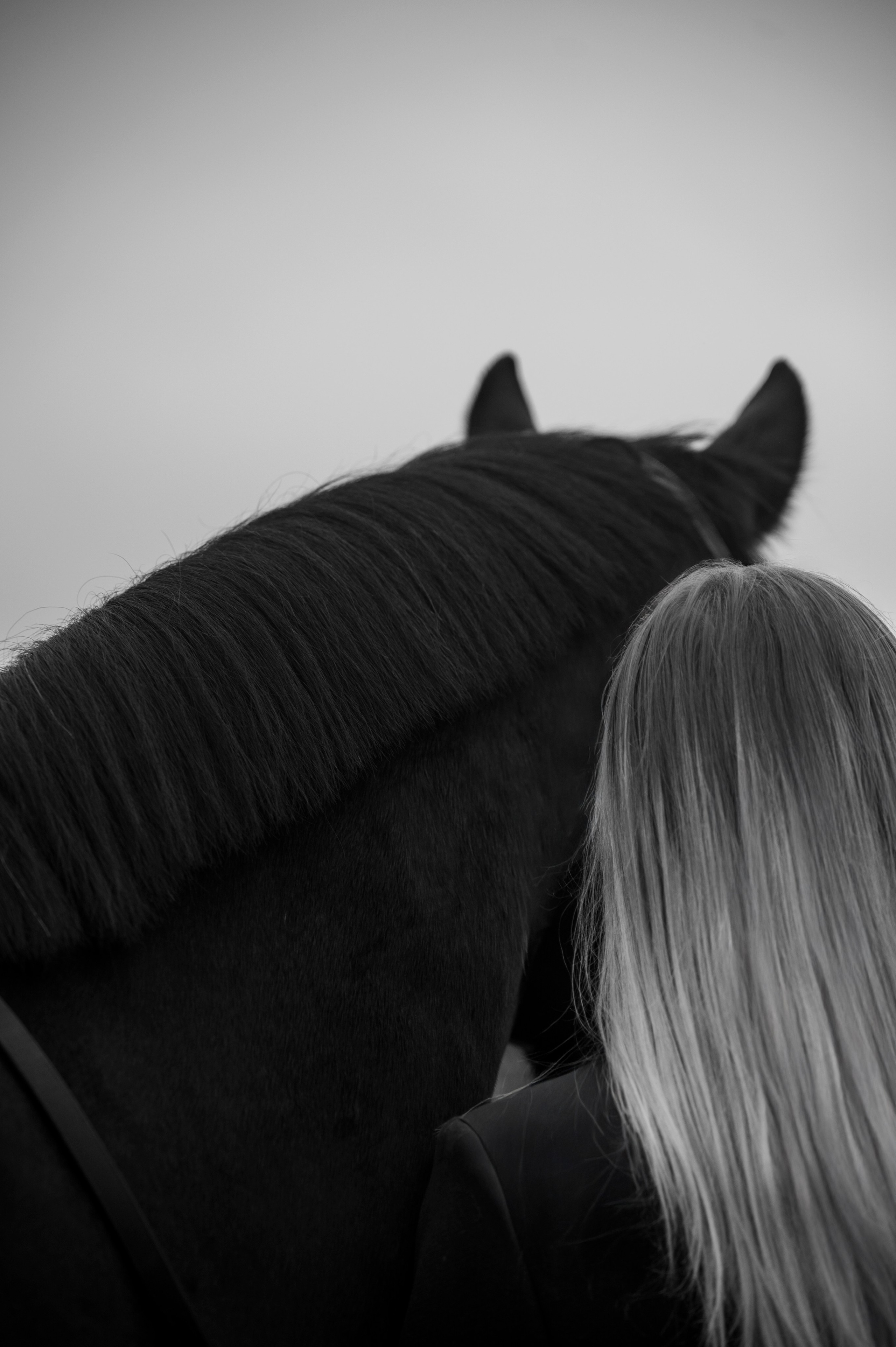 Фотограф из Таллинна. Фотограф Таллинн — свадьба |семья | lovestory