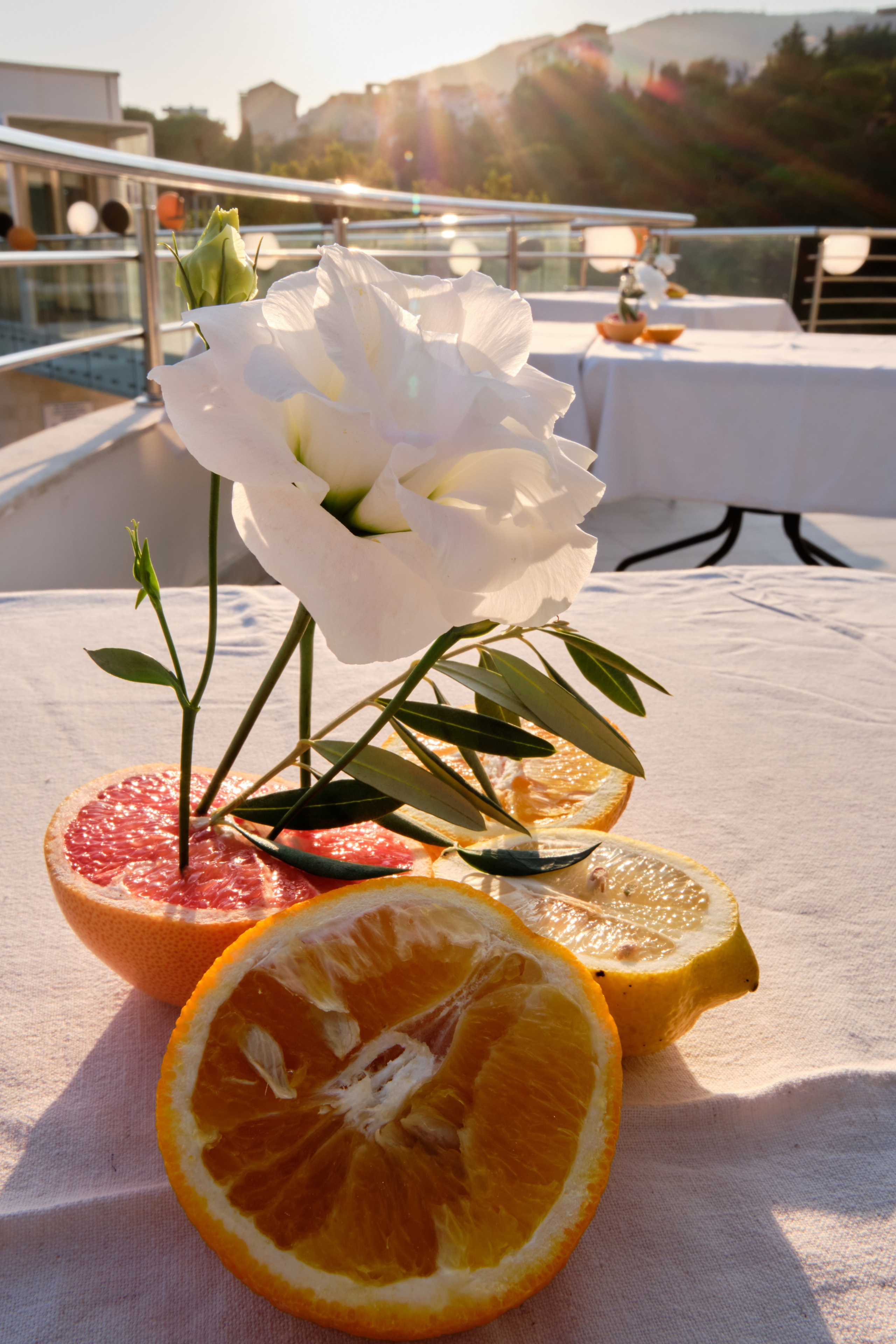 Photo report from the Zebra Restaurant’s birthday celebration. Becici, Montenegro. Photographer, photo artist Alena Novgorodtseva