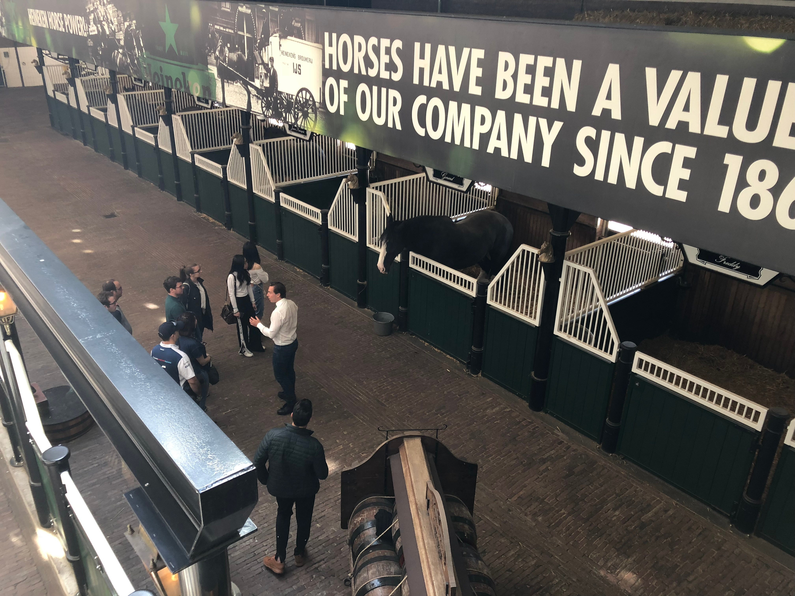 On my last visit to AMSTERDAM May 2018 it was fun and very interesting in this country