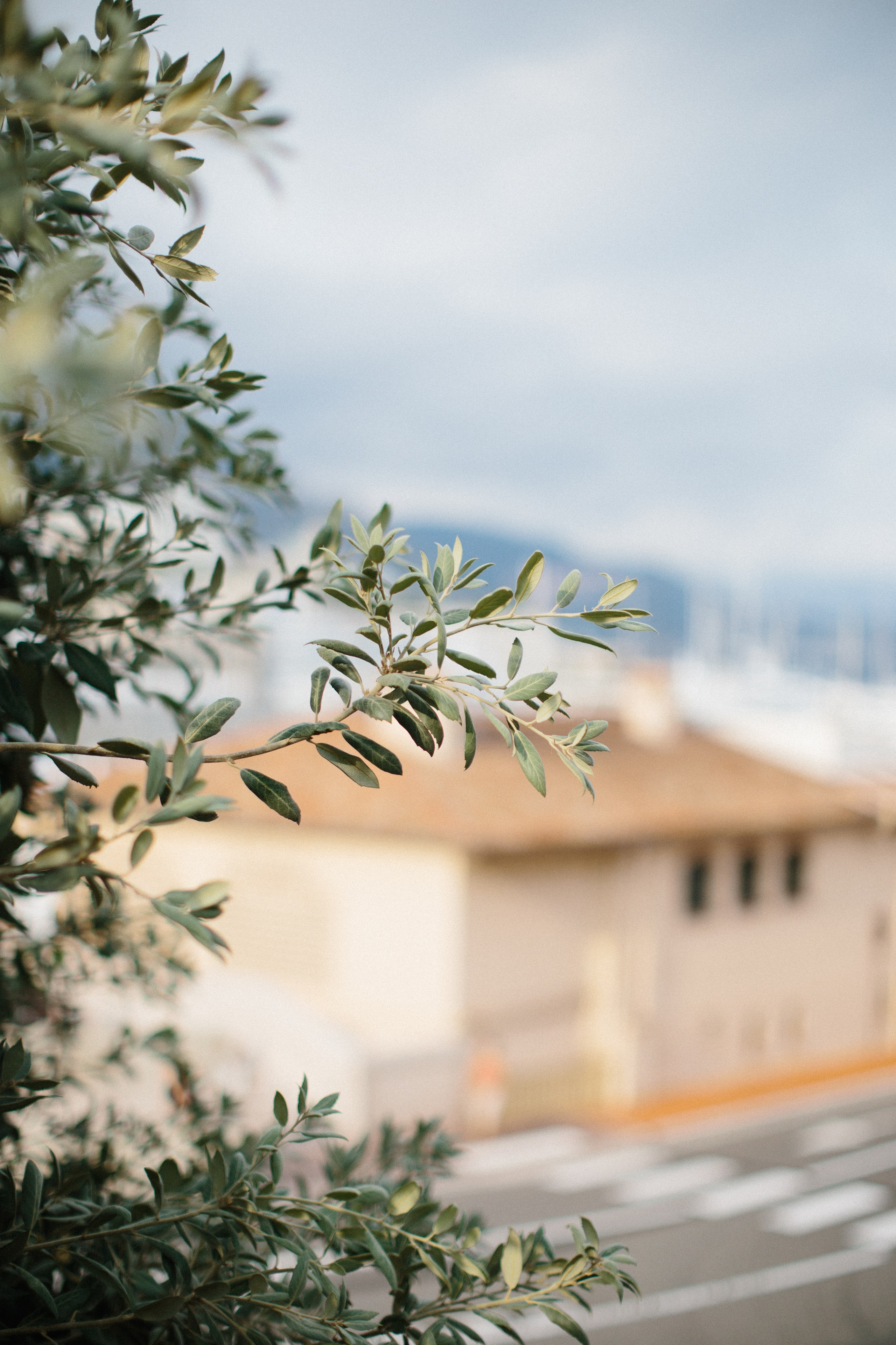 Monaco. Maria Chistyakovа — Fotografin in Karlsruhe, Baden-Baden und Umgebung