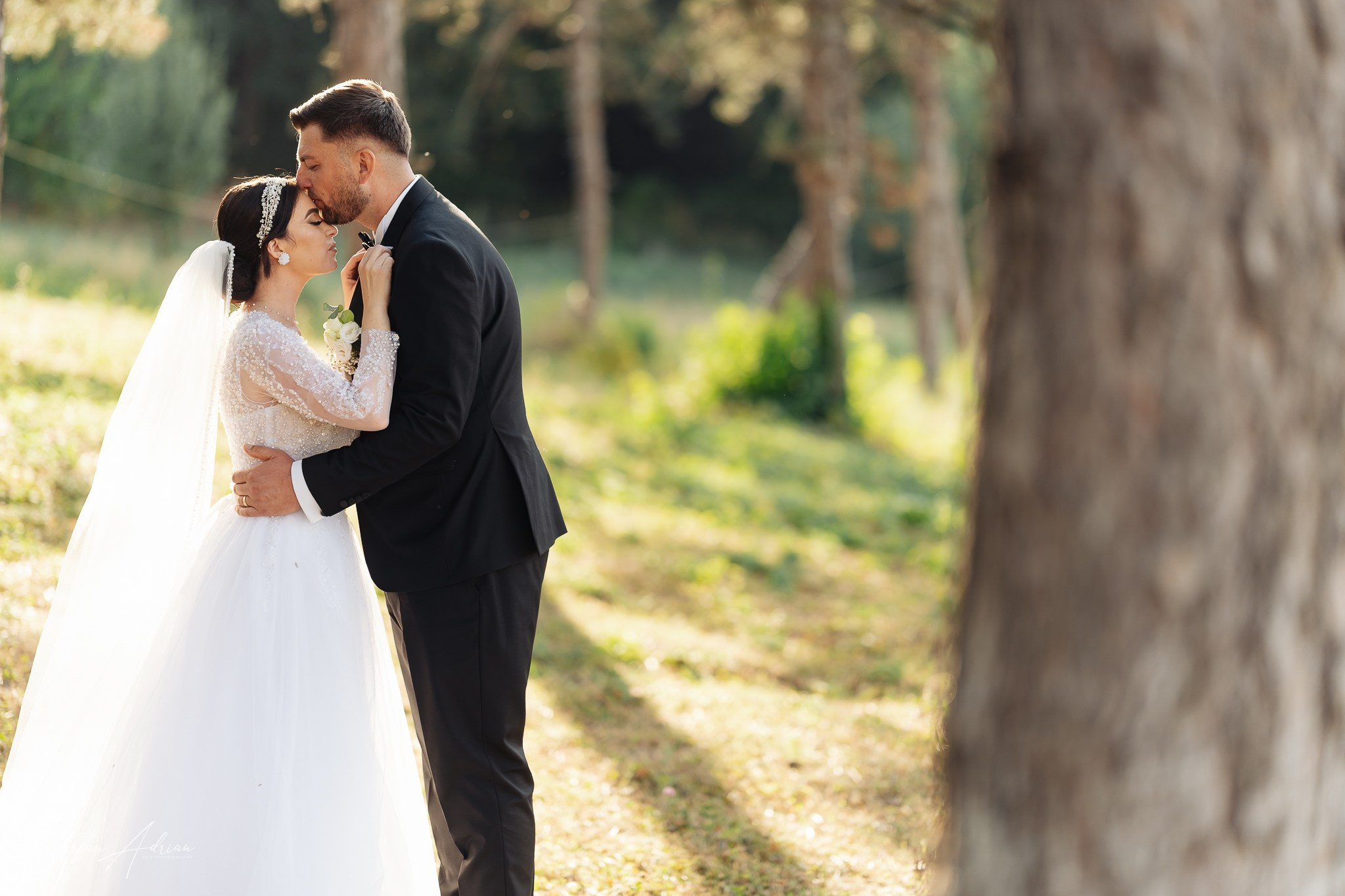 Alina & Sebi. Fotograf profesionist - Ștefan Adrian