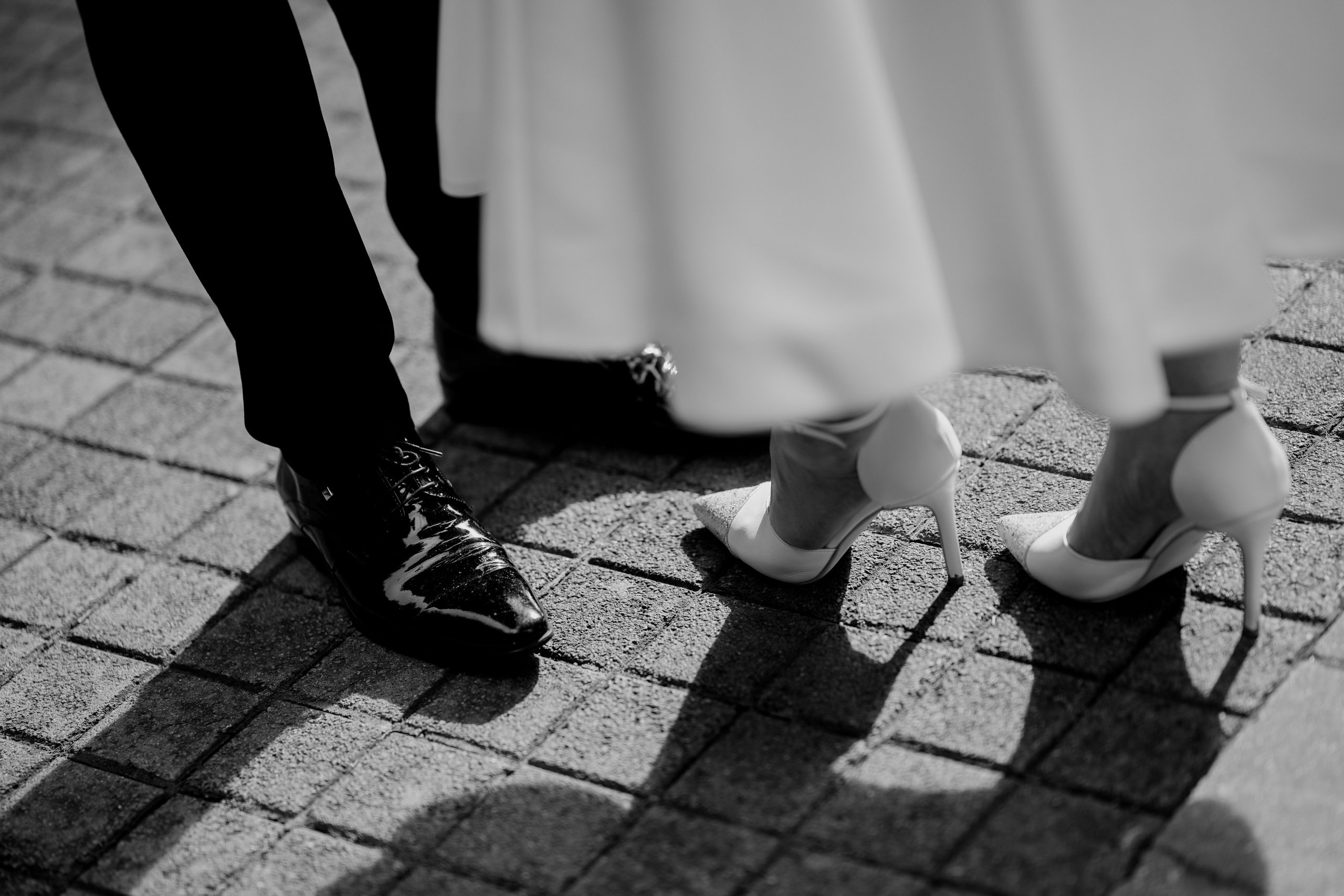 Stefan & Dorotea. NSJ — Wedding Studio