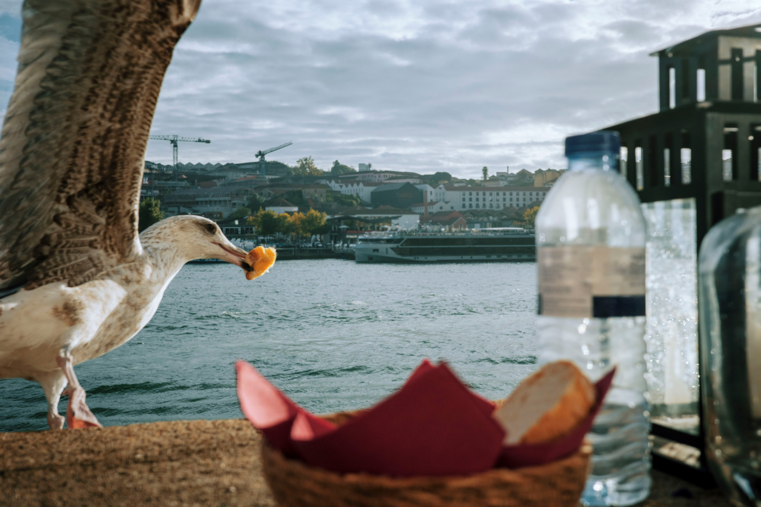 Работы Марии Шер. Sher.SCHOOL