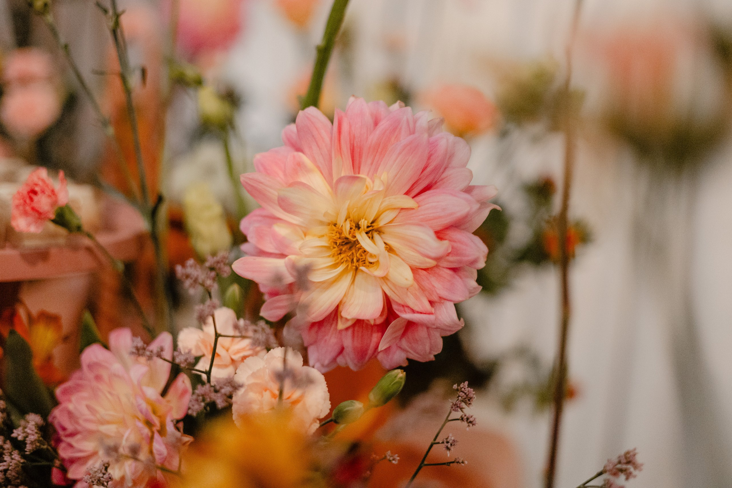 Jantar de formatura de medicina — Vitória Bueno