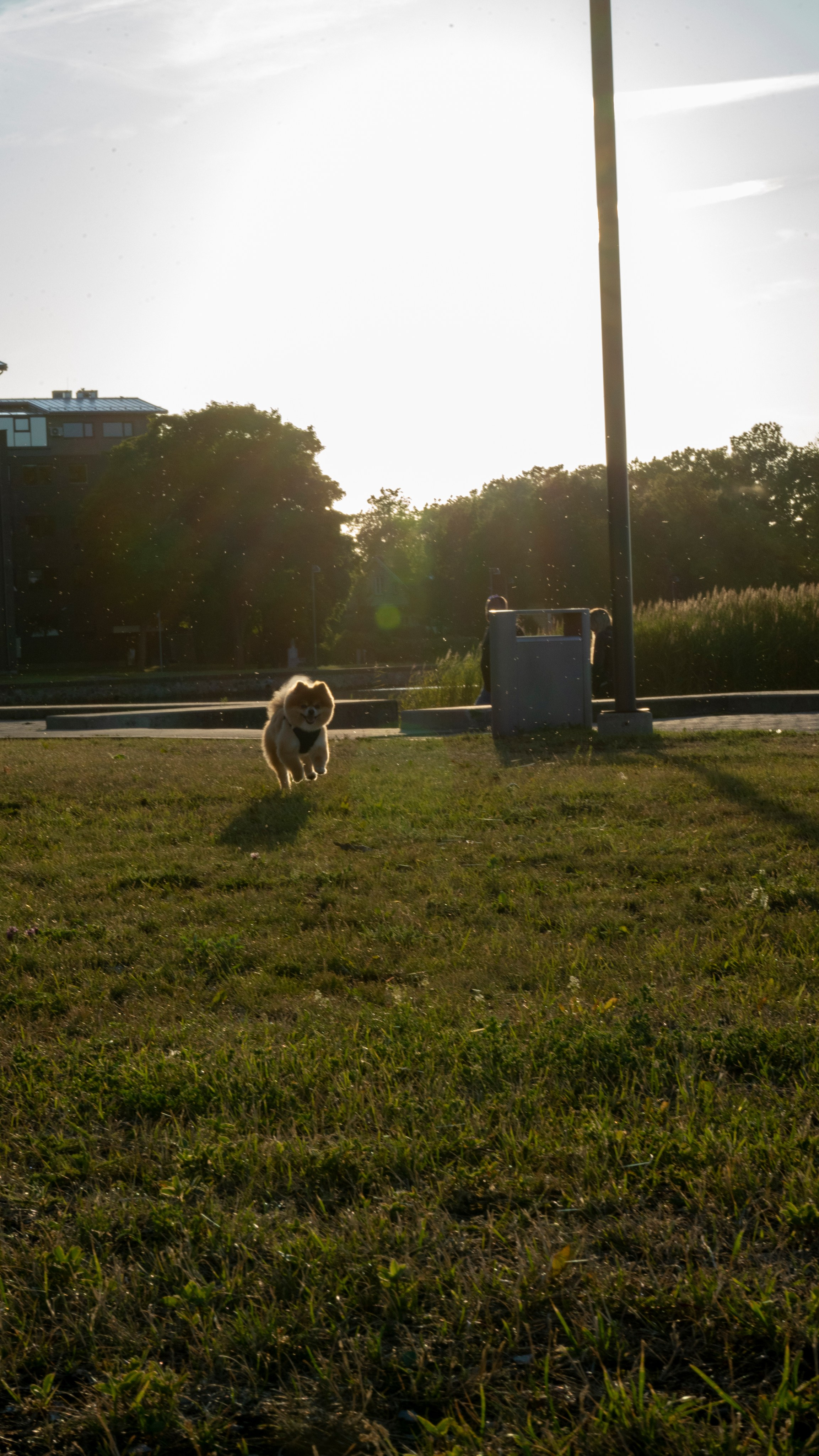 Whispers of Estonia. Photography | Videography | Marketing