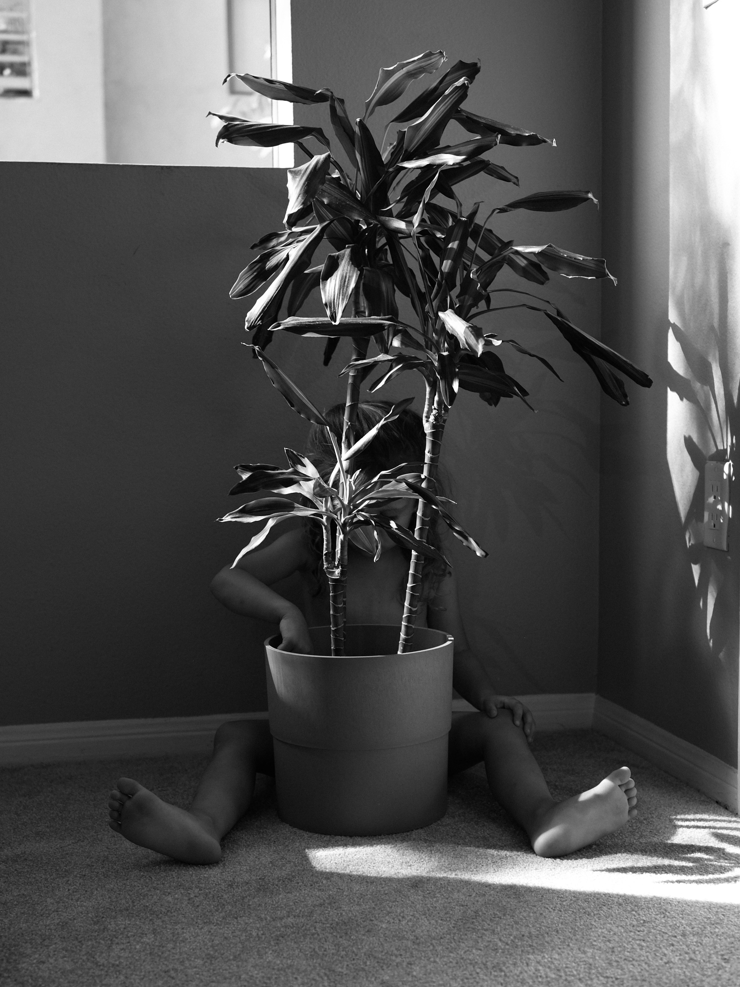 Vita. Mariia Ermakoava