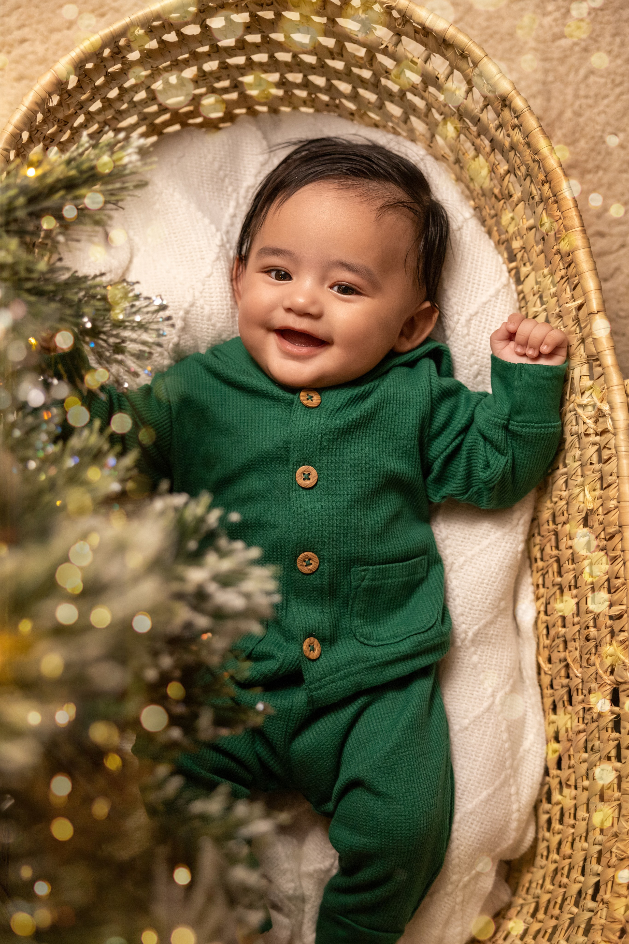 Milestone photos. Newborn photographer in Tampa Bay Area, FL