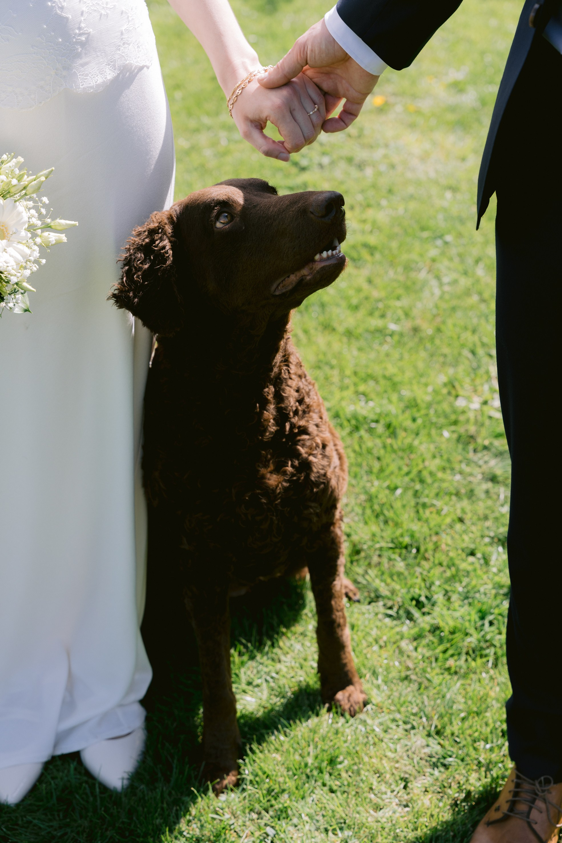 Wedding Day. Little Birdie – Jouw familie- en huwelijksfotograaf in België en daarbuiten