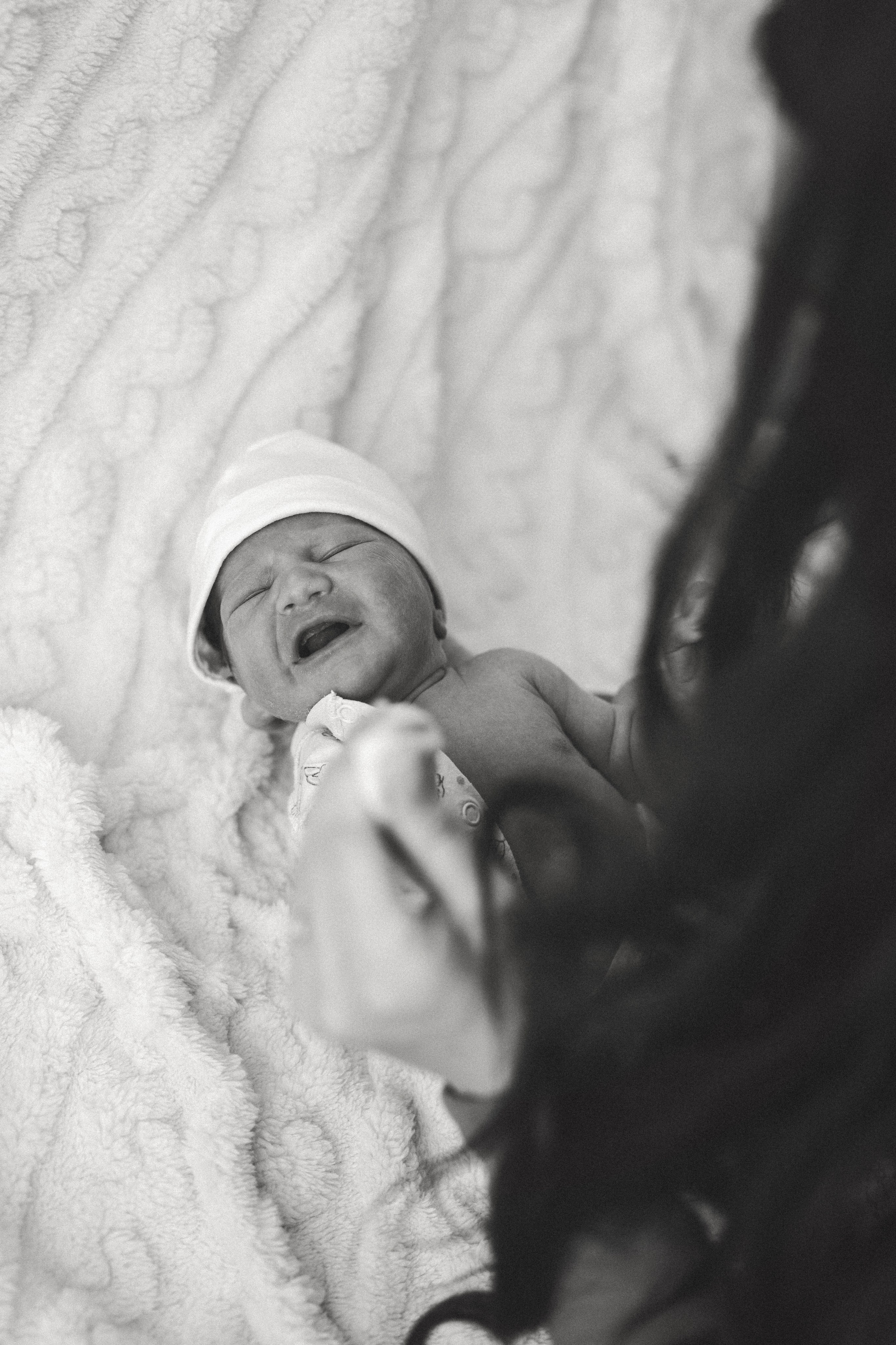 Vaniușa | primele zile de viață. Home