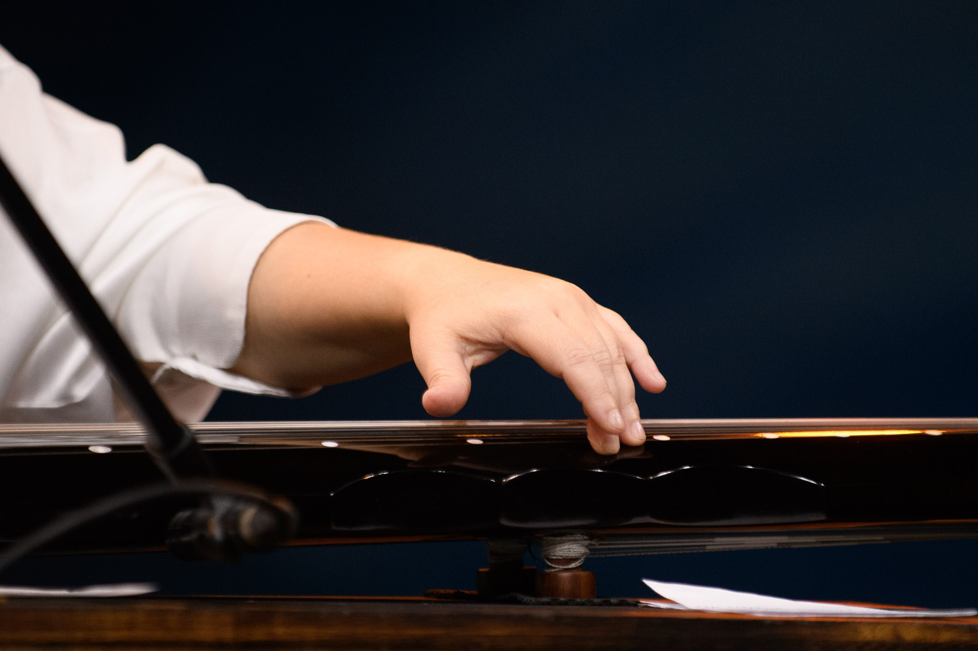 Concerts. Alexander Kabanov Photographer