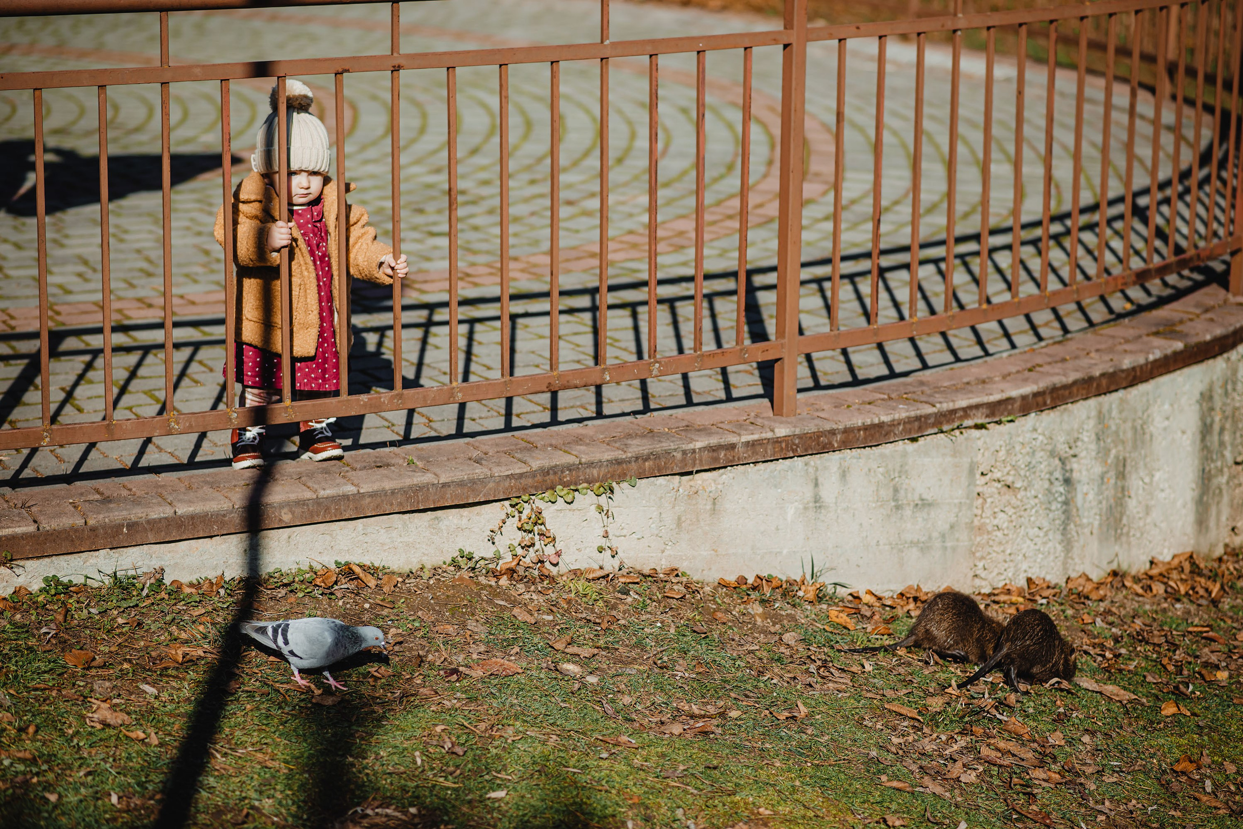 Сімейна фотосесія. 1 рочок Анастасії. Весільний та портретний фотограф Кизим Арсен