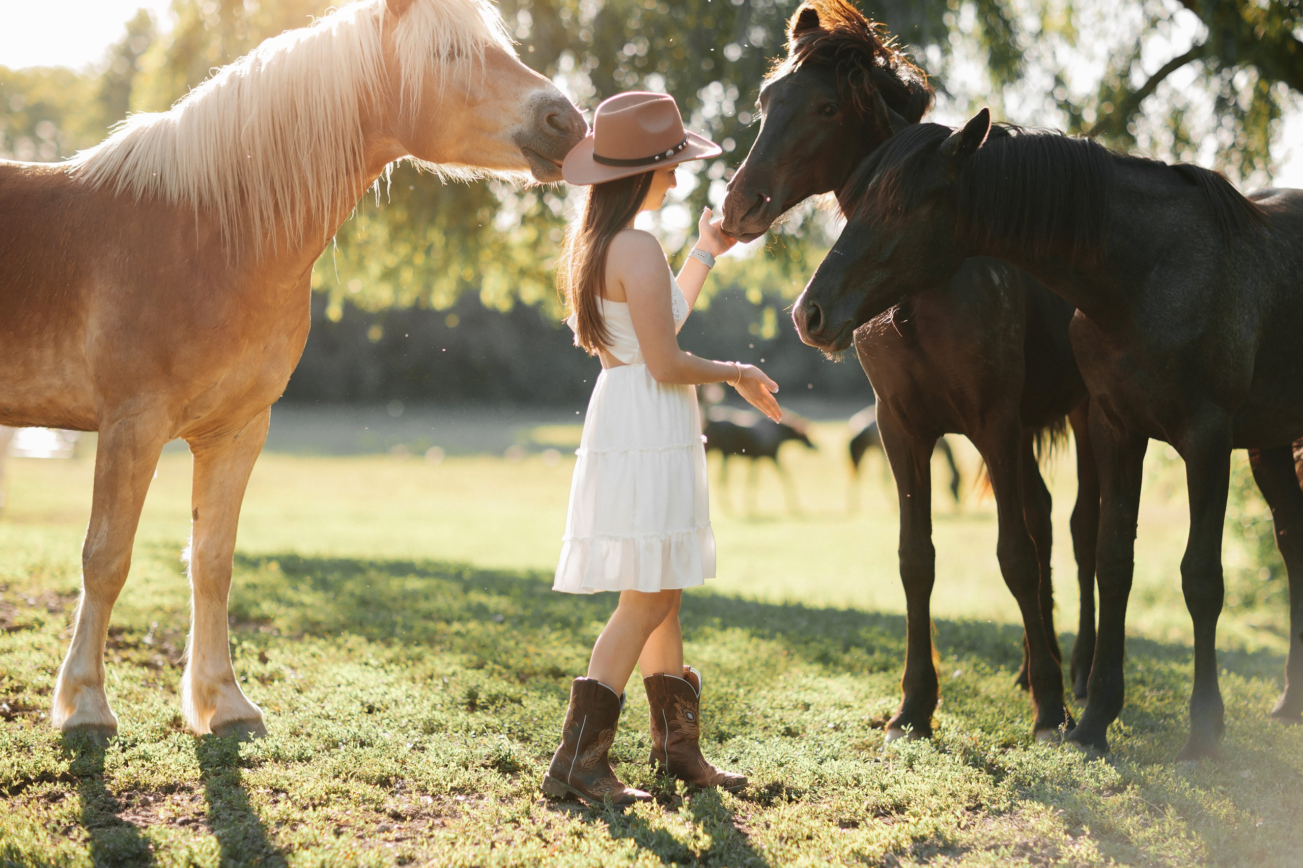 30.05.24 Family Photoshoot. Wedding family event photographer in Chicago Nick Yushevich