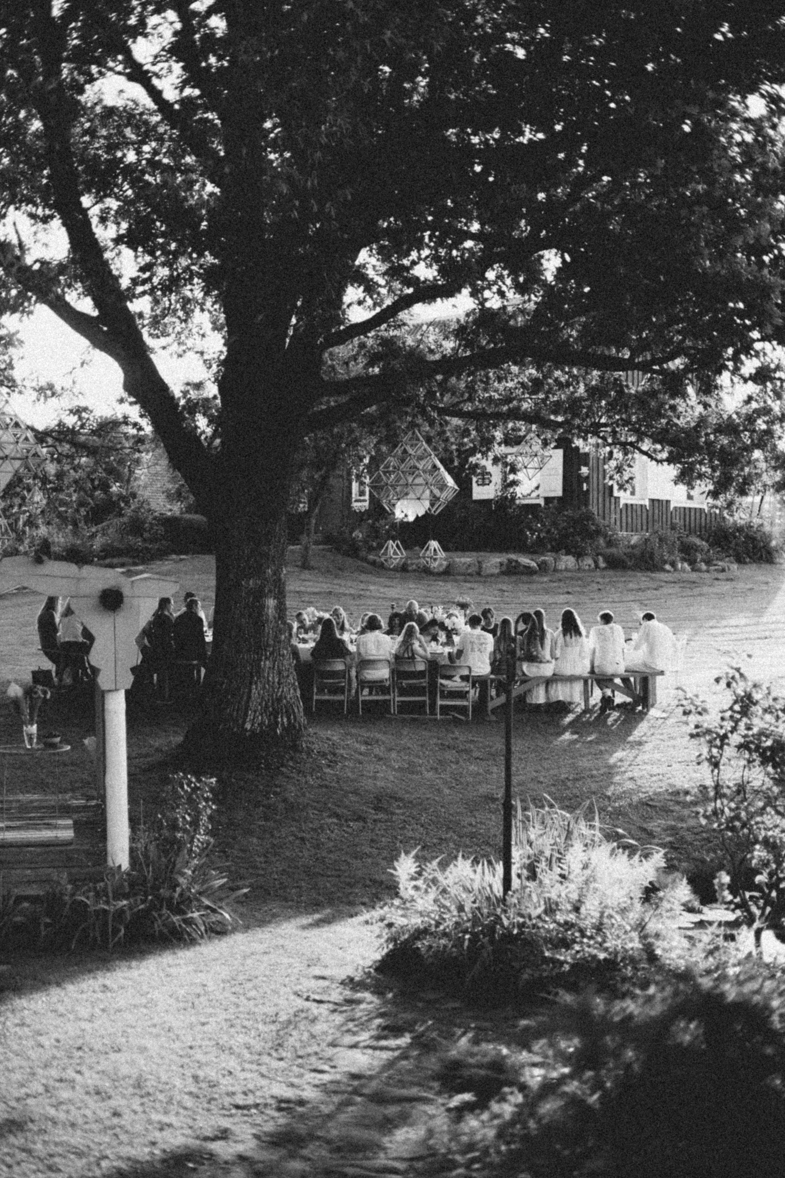 Vasara sode. Портретный фотограф Александра Самозванова