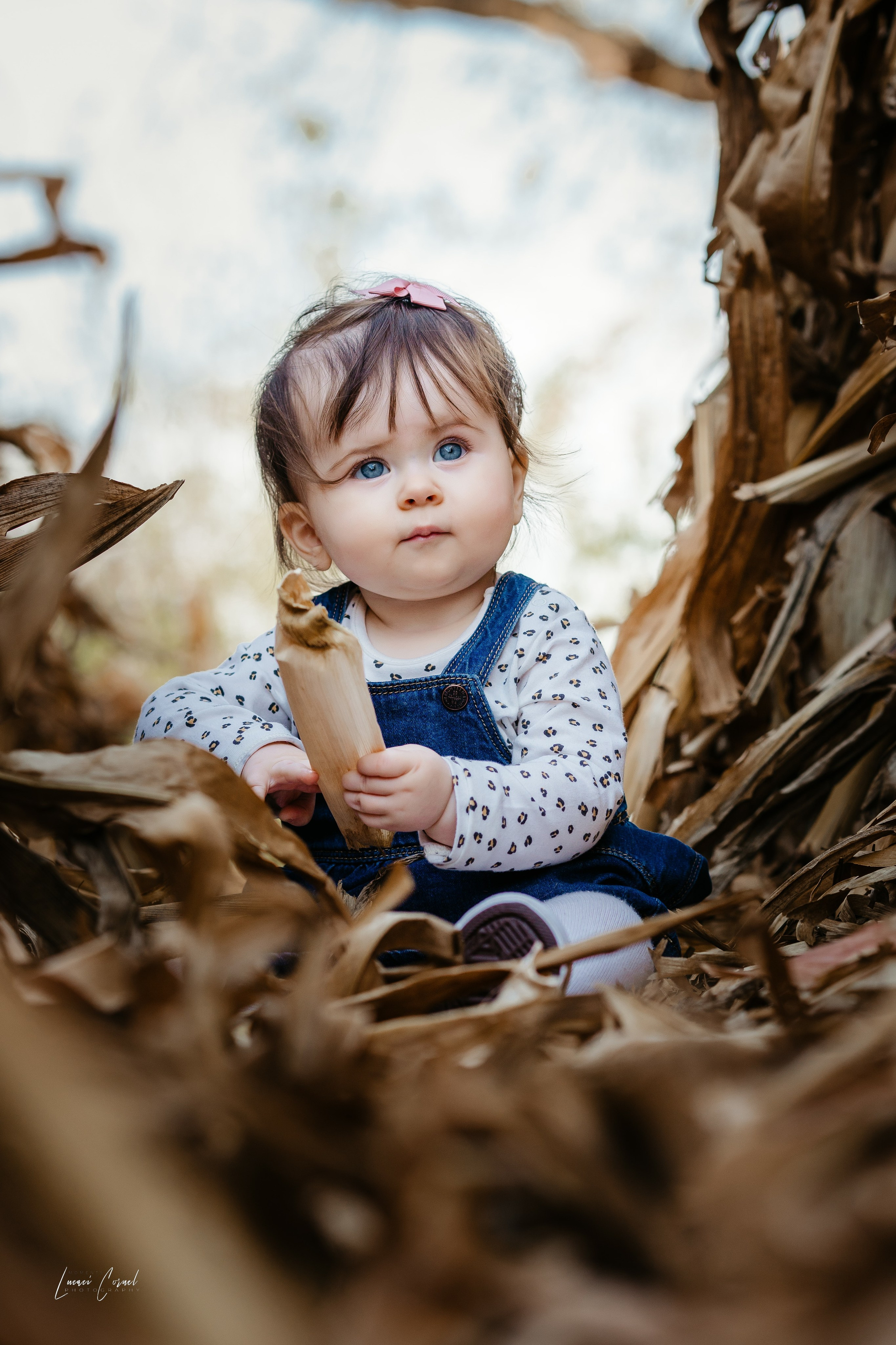 Familie – Amintiri de neuitat. Fotograf de nuntă, corporate, botezuri, majorate și aniversări Roman, Lucaci Cornel