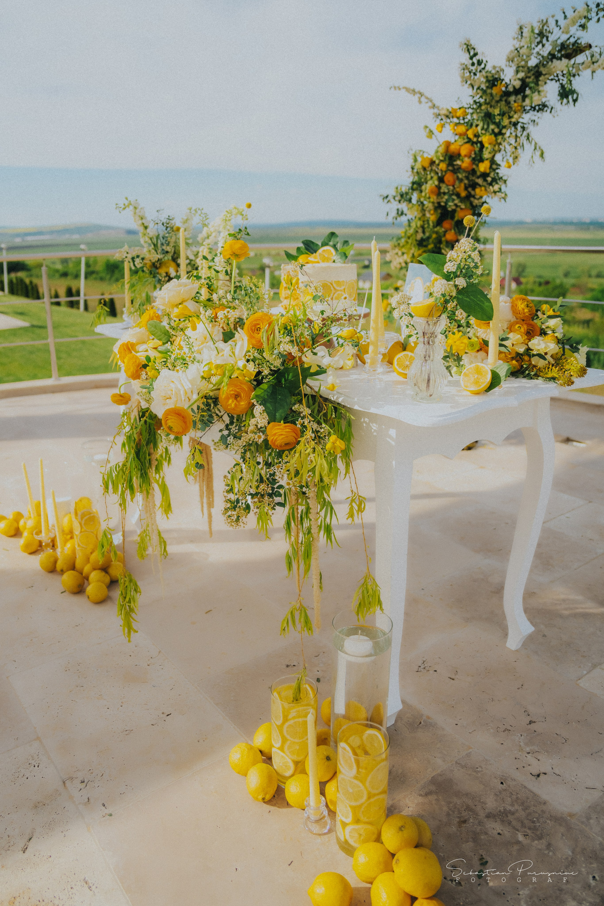 Love & Lemons. Sebastian Purusniuc Fotograf - Iasi