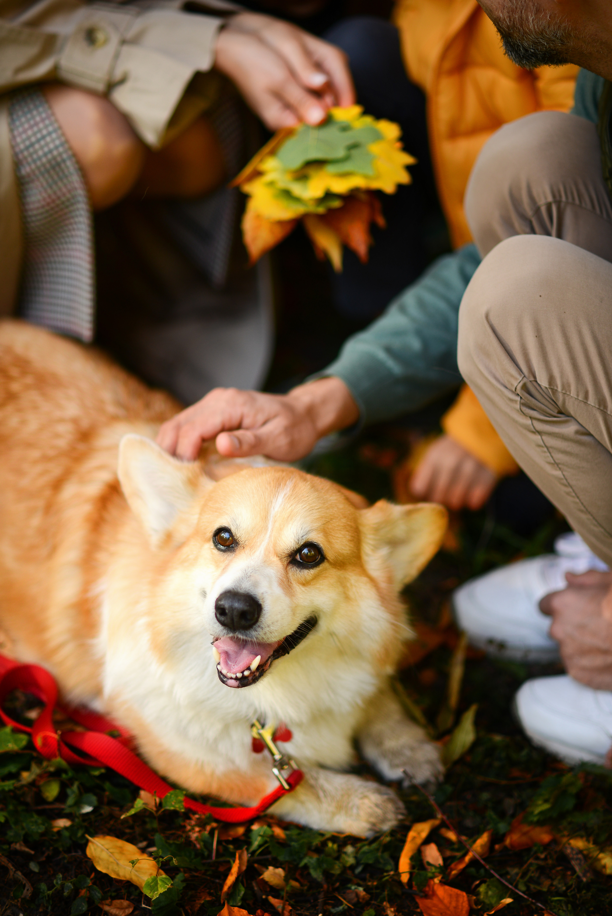 OLGA&VADIM FAMILY SHOOTING IN THE PARK