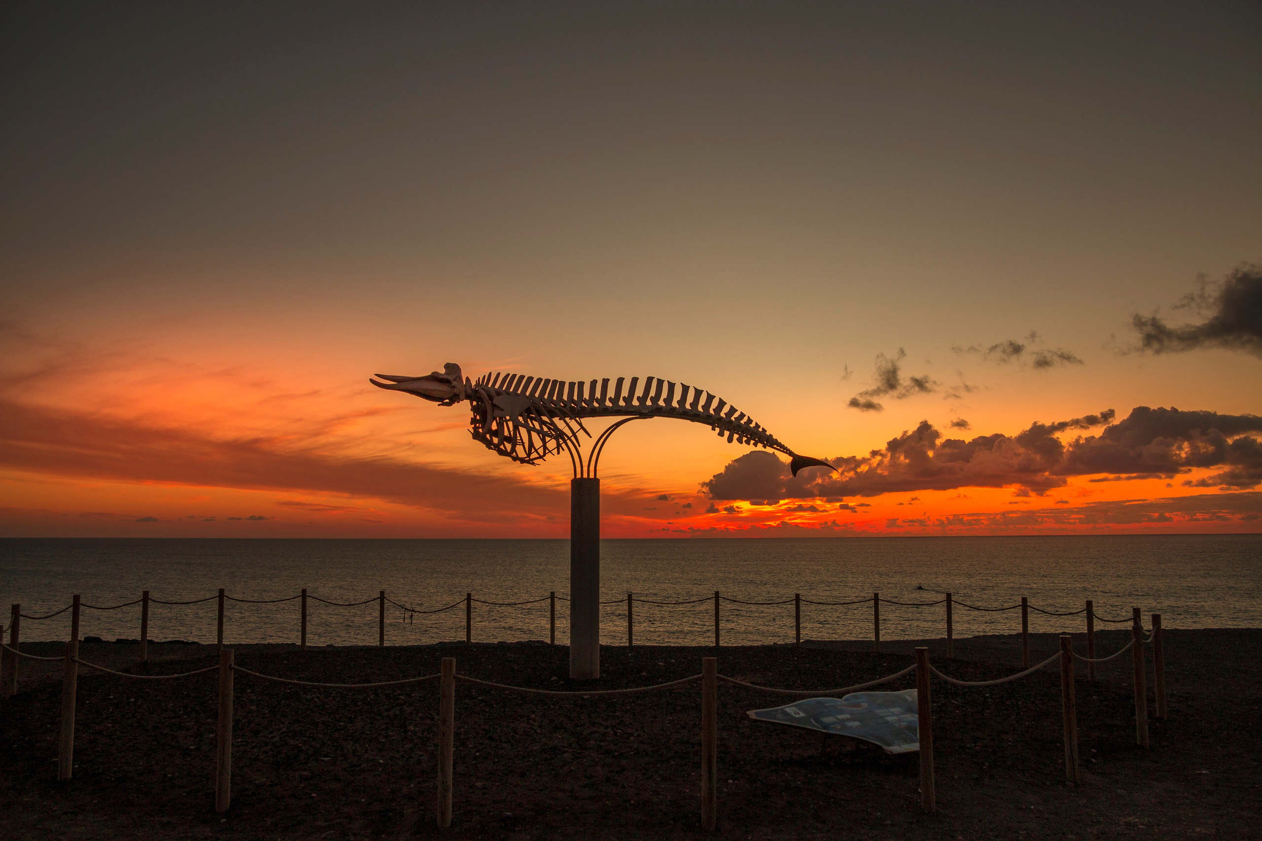 Fuerteventura, Kanarska ostrva, Španija