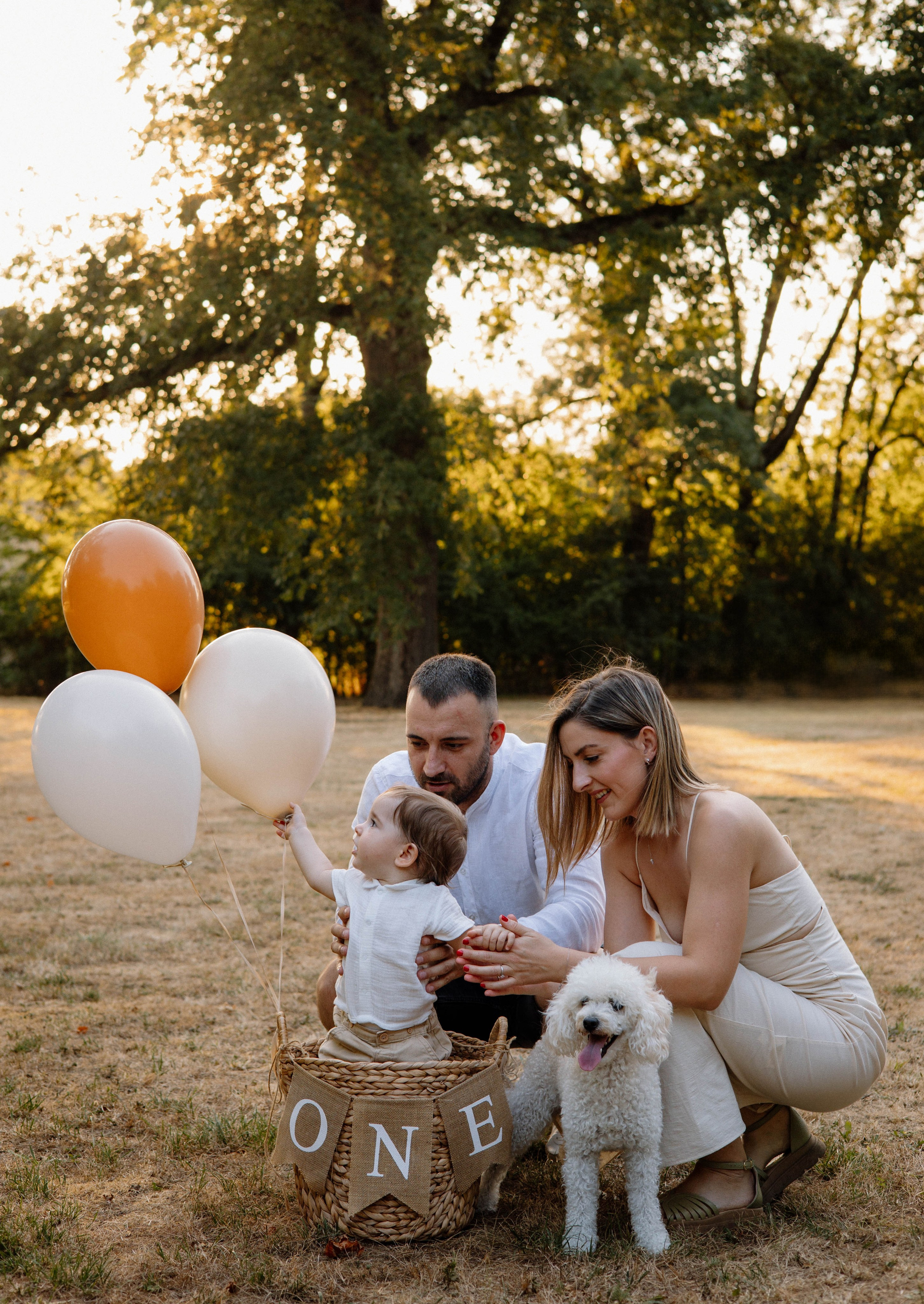 Smash Cake Photography. Family and Wedding Photographer