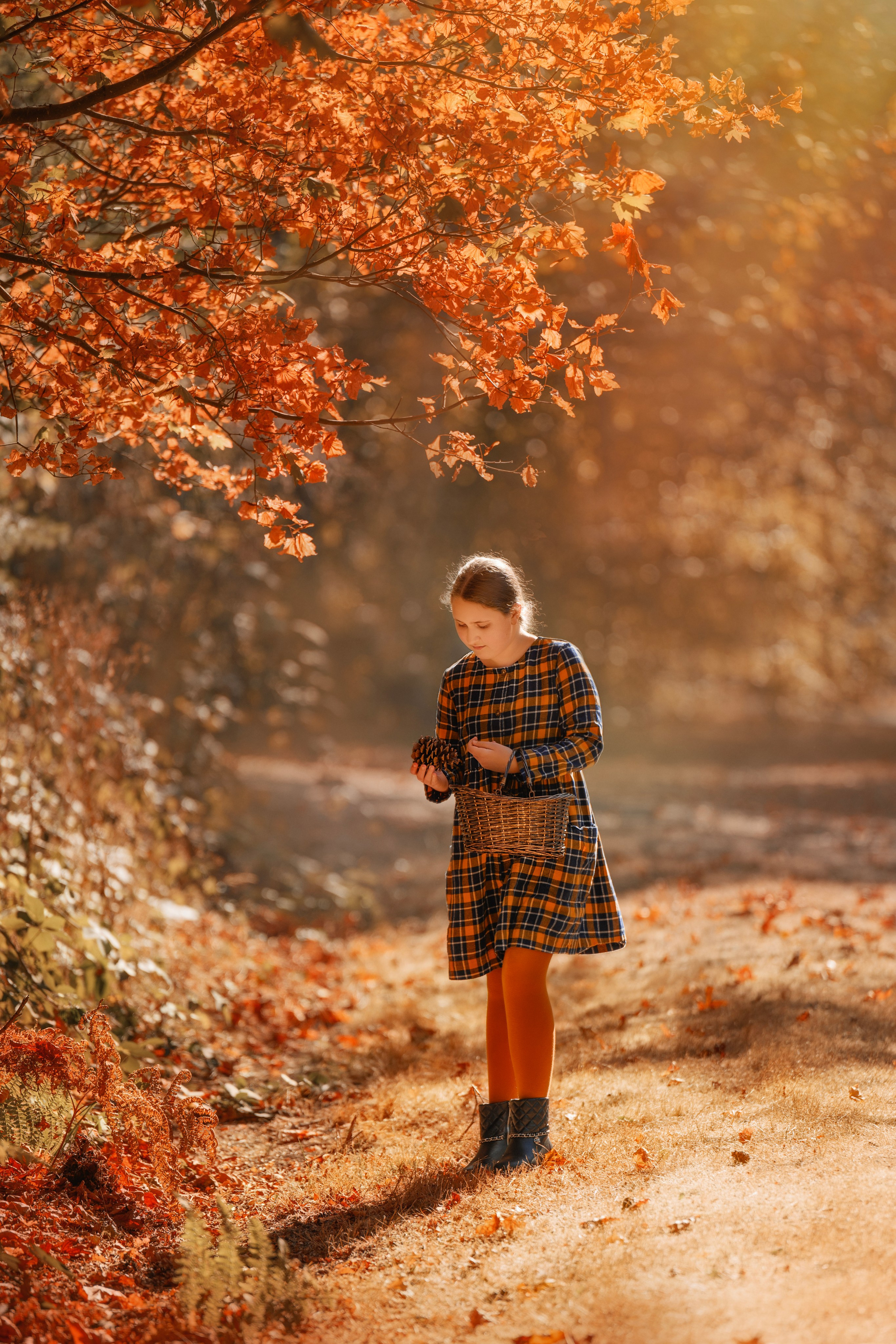 Caity in the autumn forest. Wedding & portrait photography in the Seattle Area. Helen Michelle photographer