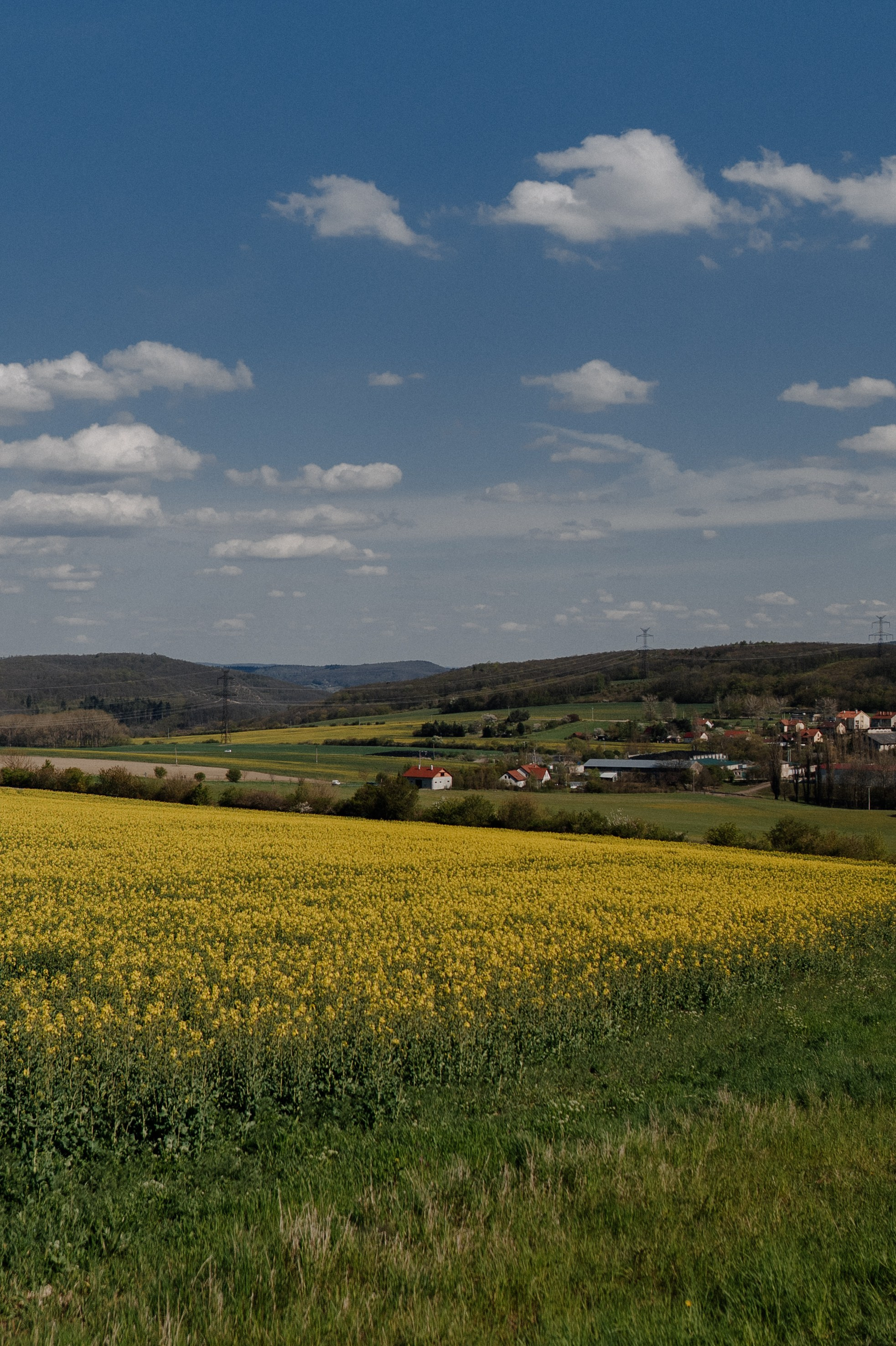 Czech Republic. Фотограф в Праге Анна Лебедева