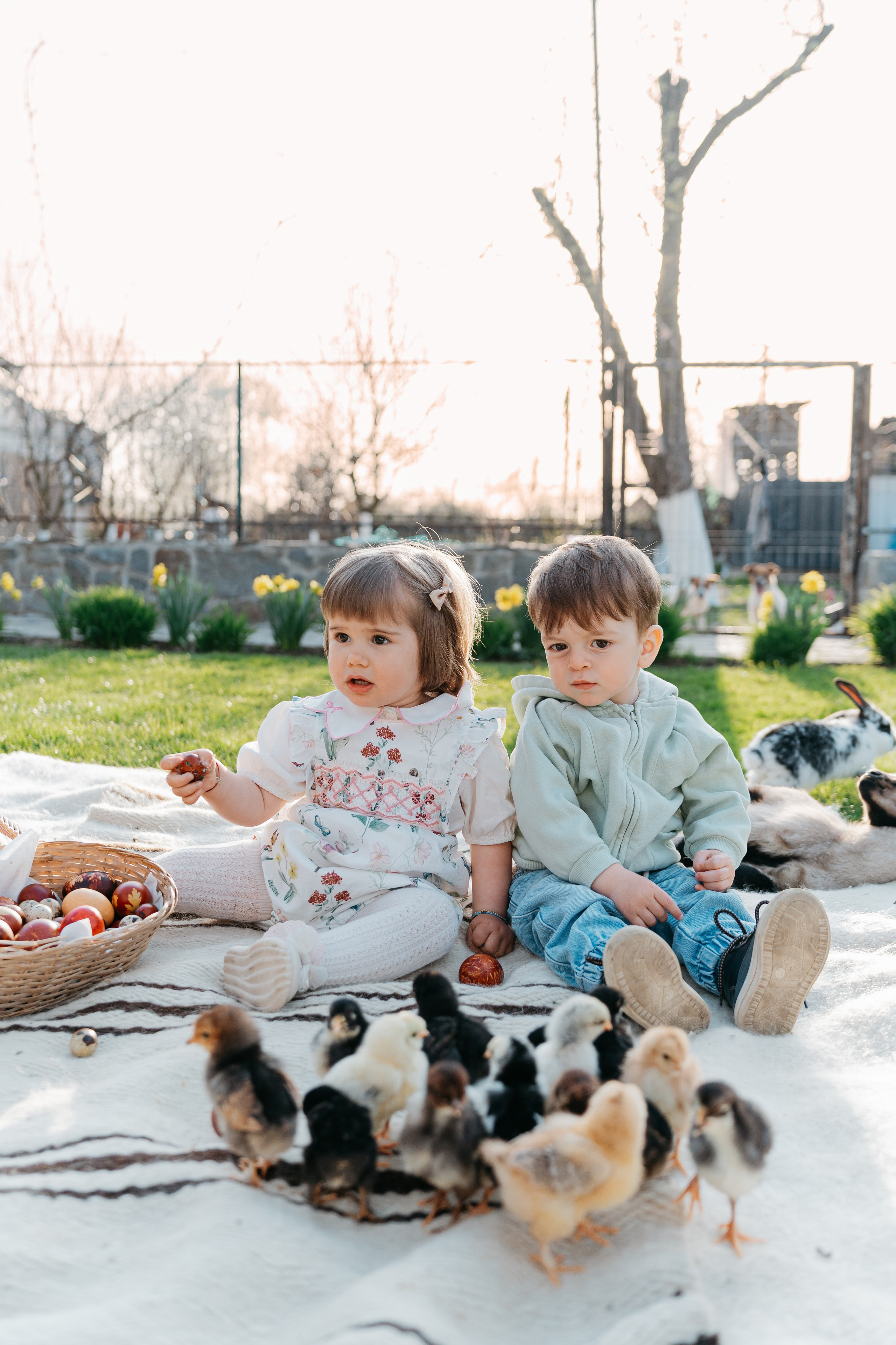 EASTER. Ars Vidi | Digital Solutions