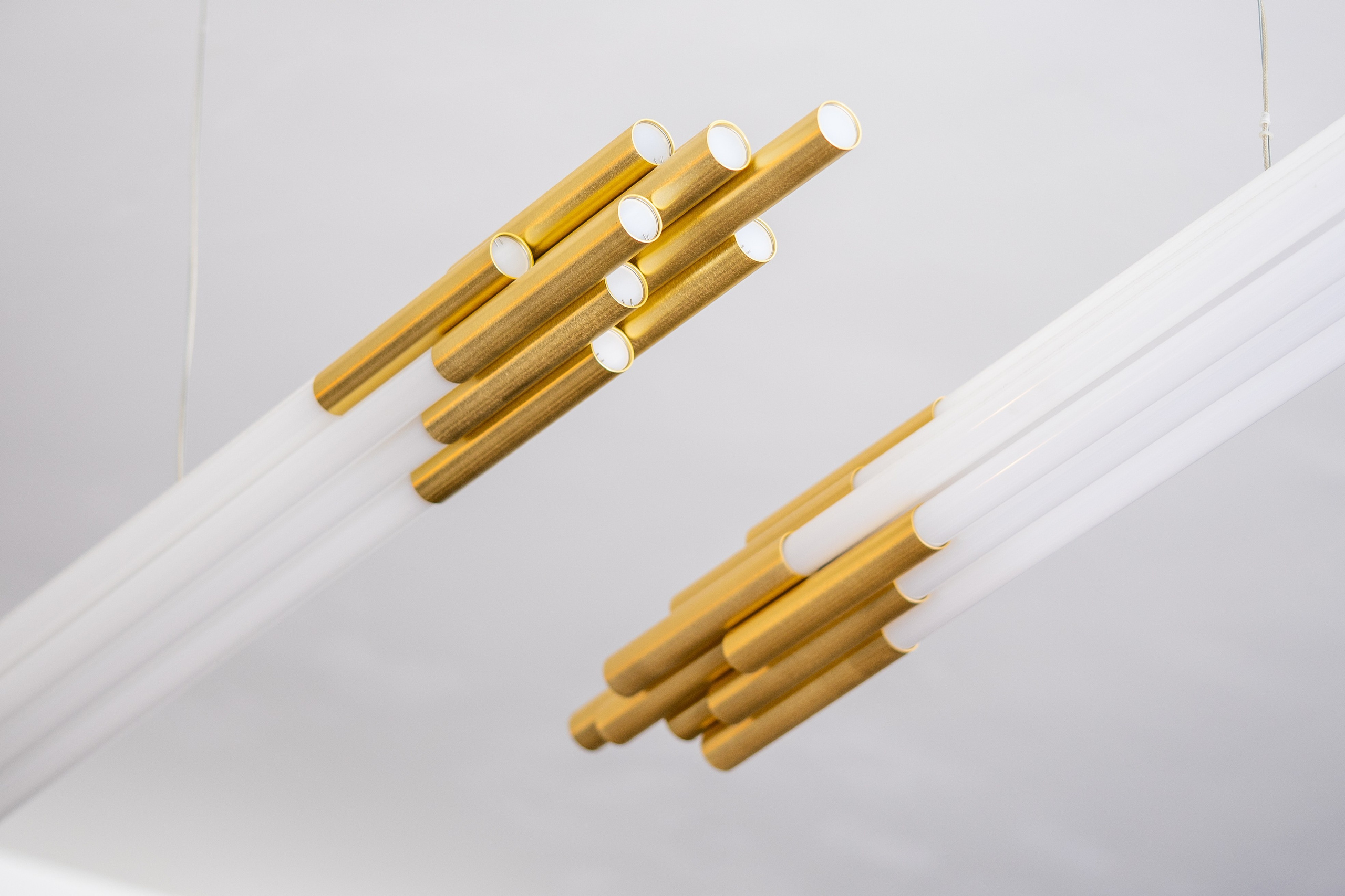 Borboleta. Мария Шер. Профессиональный фотограф в городе Порту, Португалия