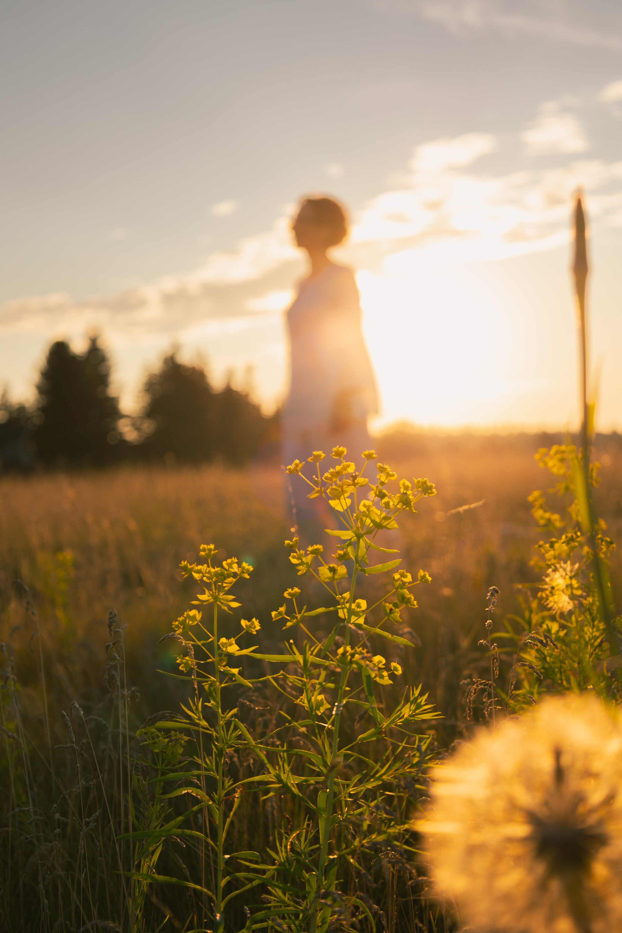PHOTOGRAPHER JENNY IN CALGARY. I am a portrait and family photographer Jenny in Calgary