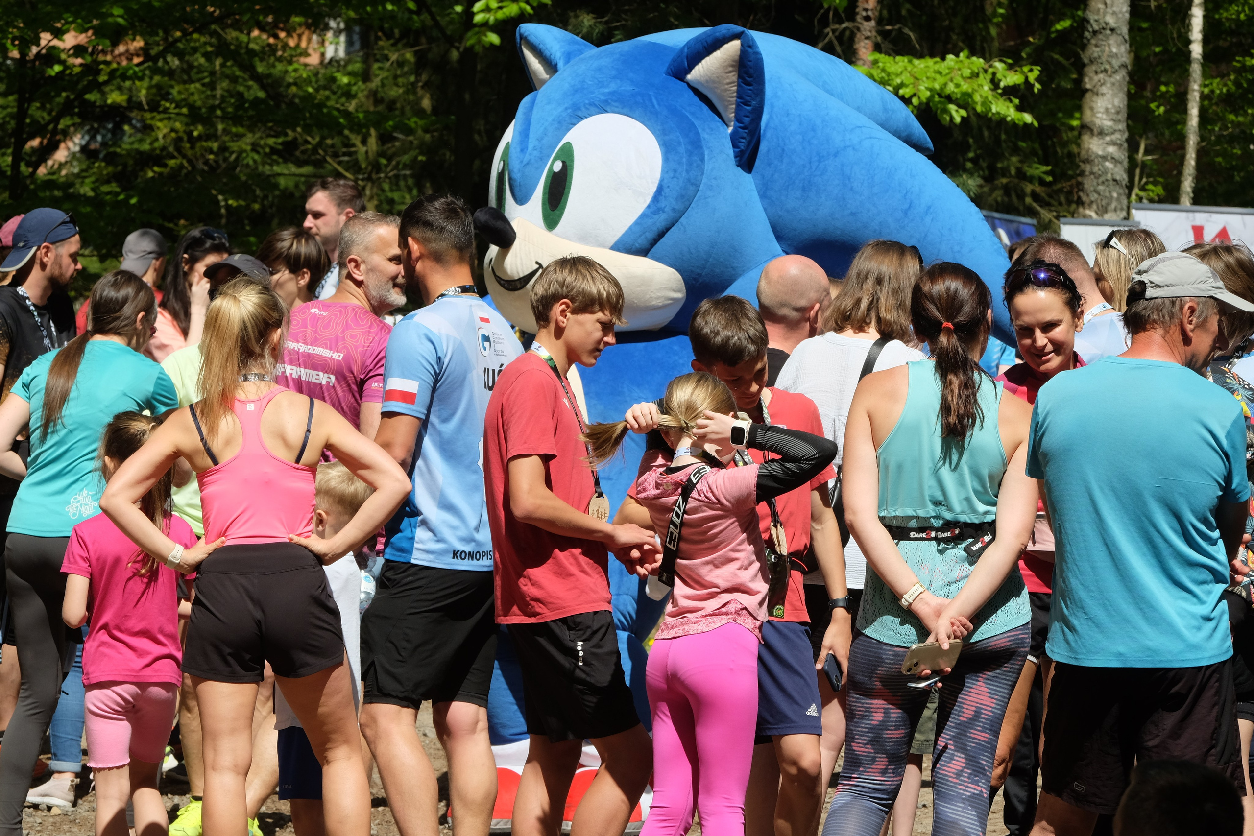 Aleksandryjska Piątka po lesie. Main