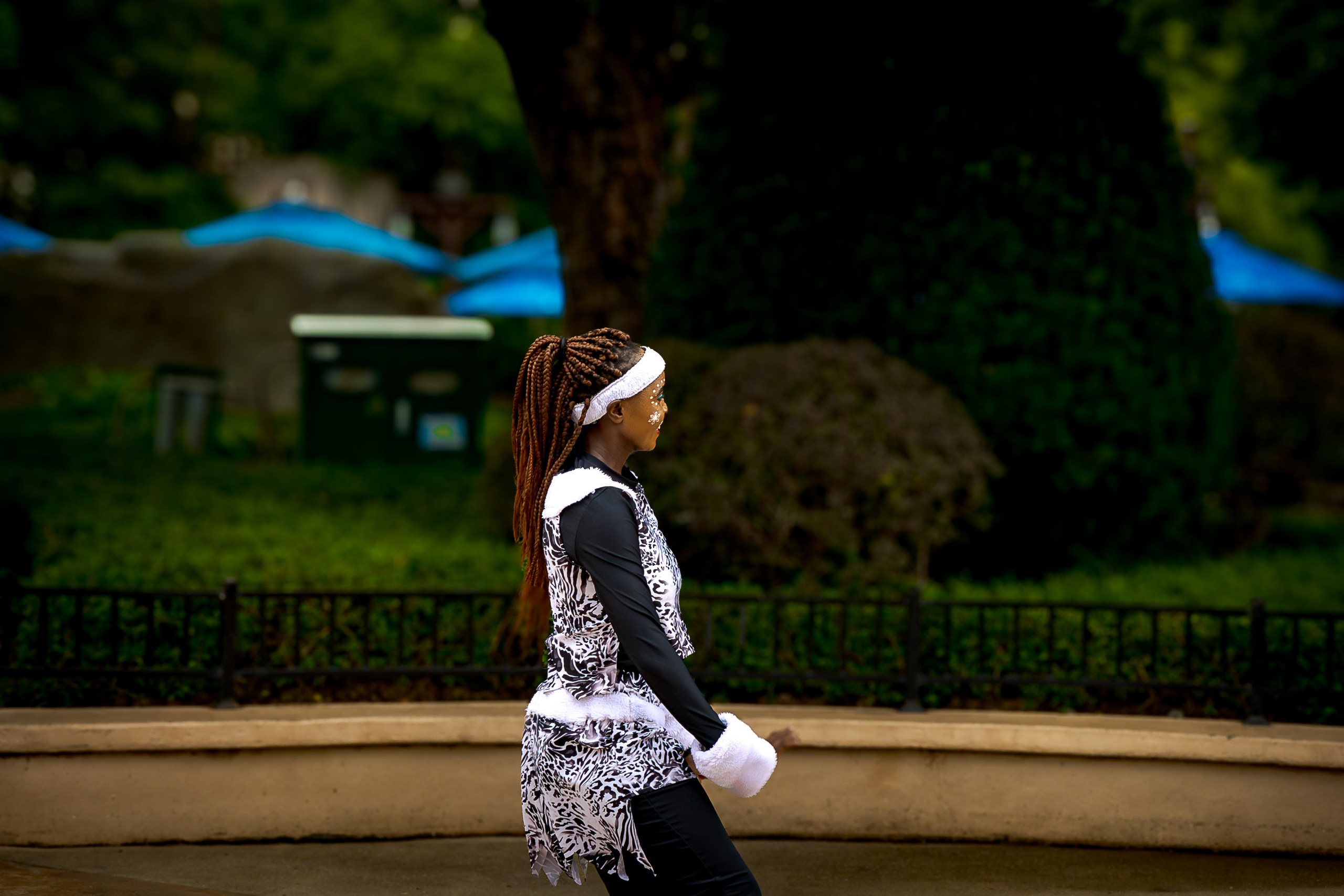 Дневной парад новогодняя версия