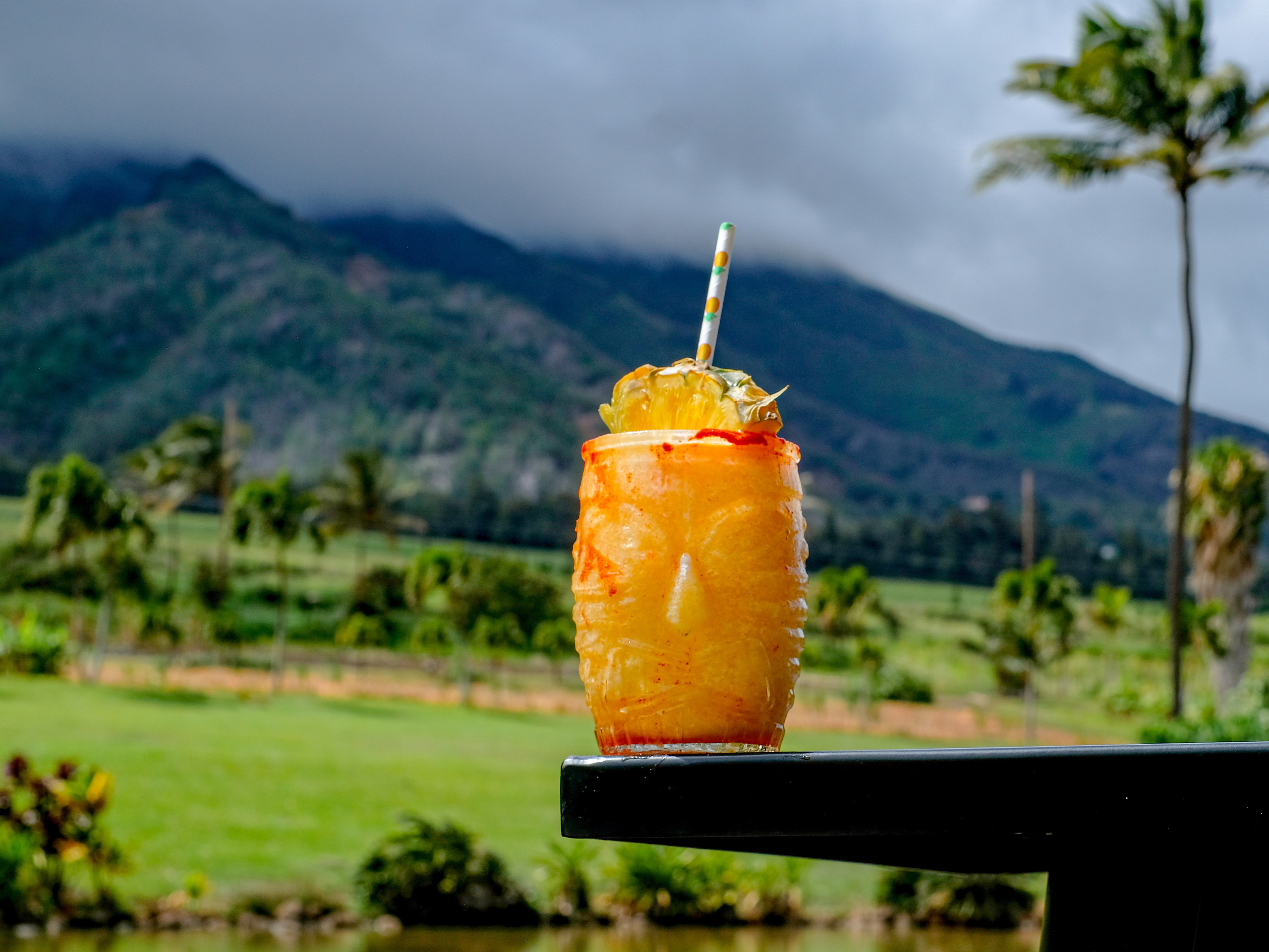 Gallery. Food Photography