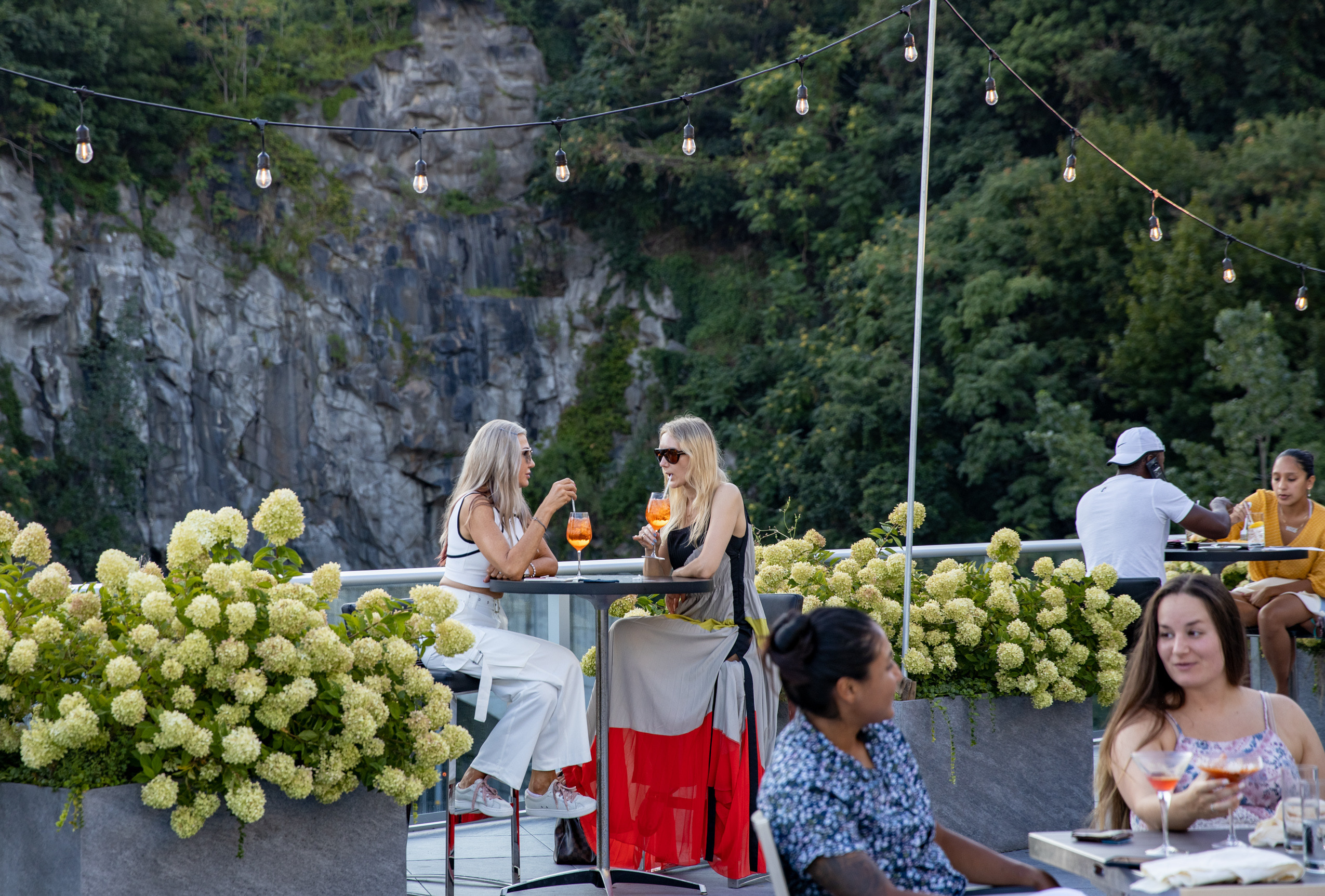 Gallery. Food Photography