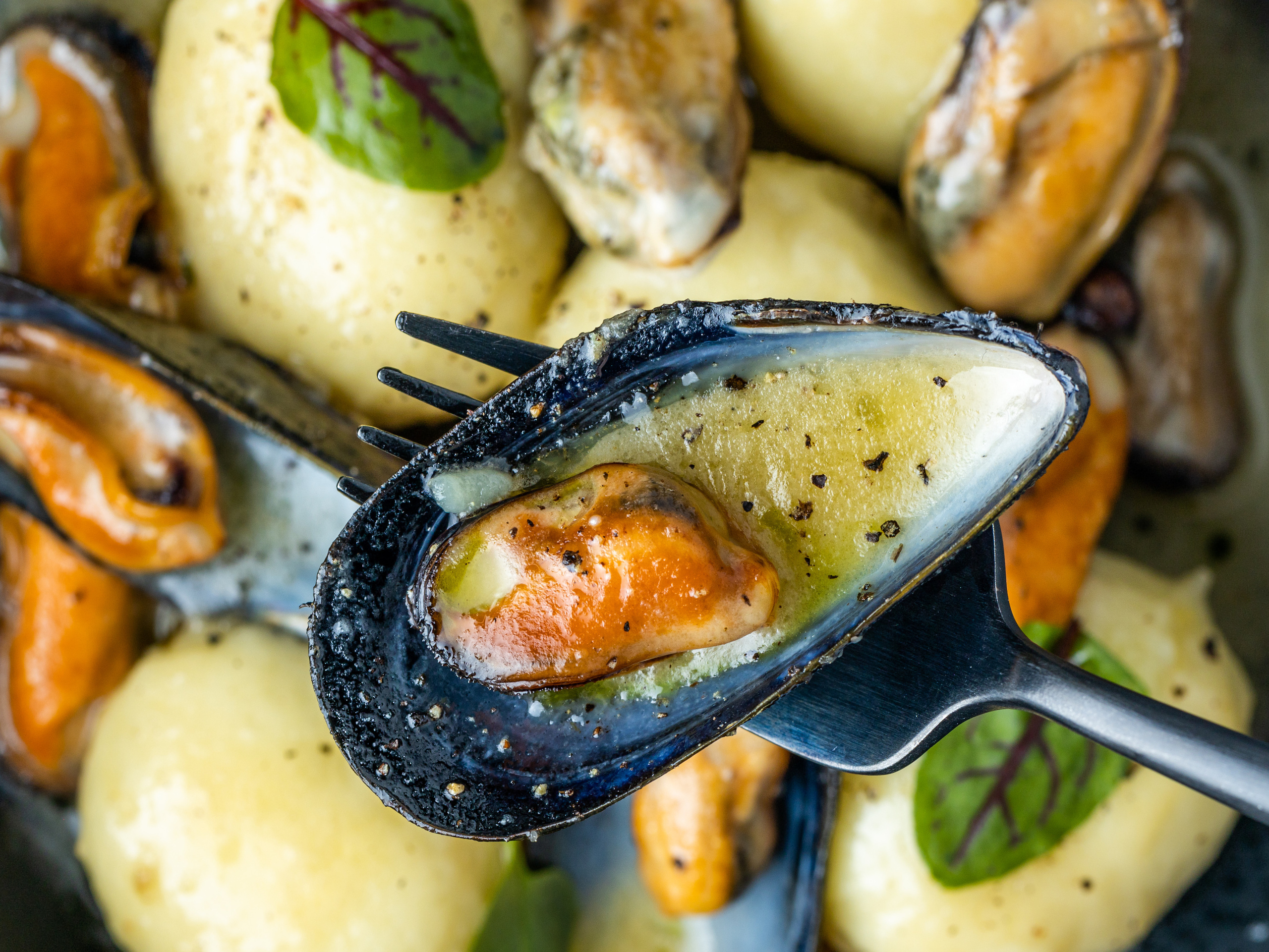 Gallery. Food Photography