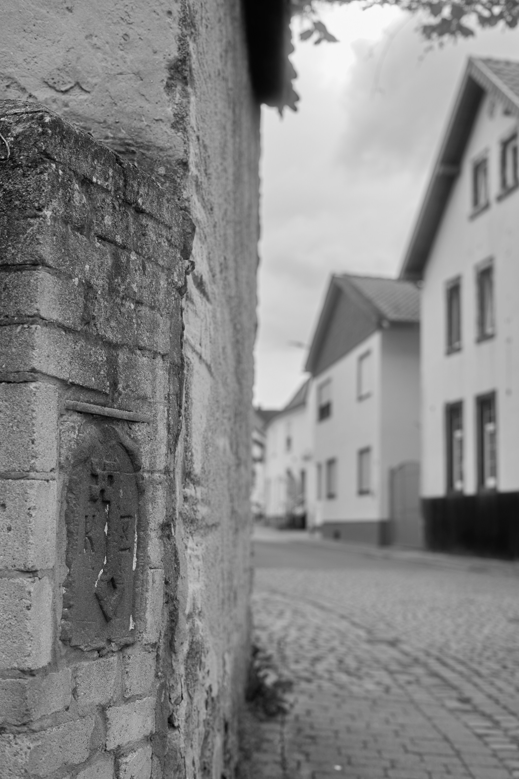 Freinsheim Weinfest 2024. Aleksandr Steinbrenner | Streetfotografie
