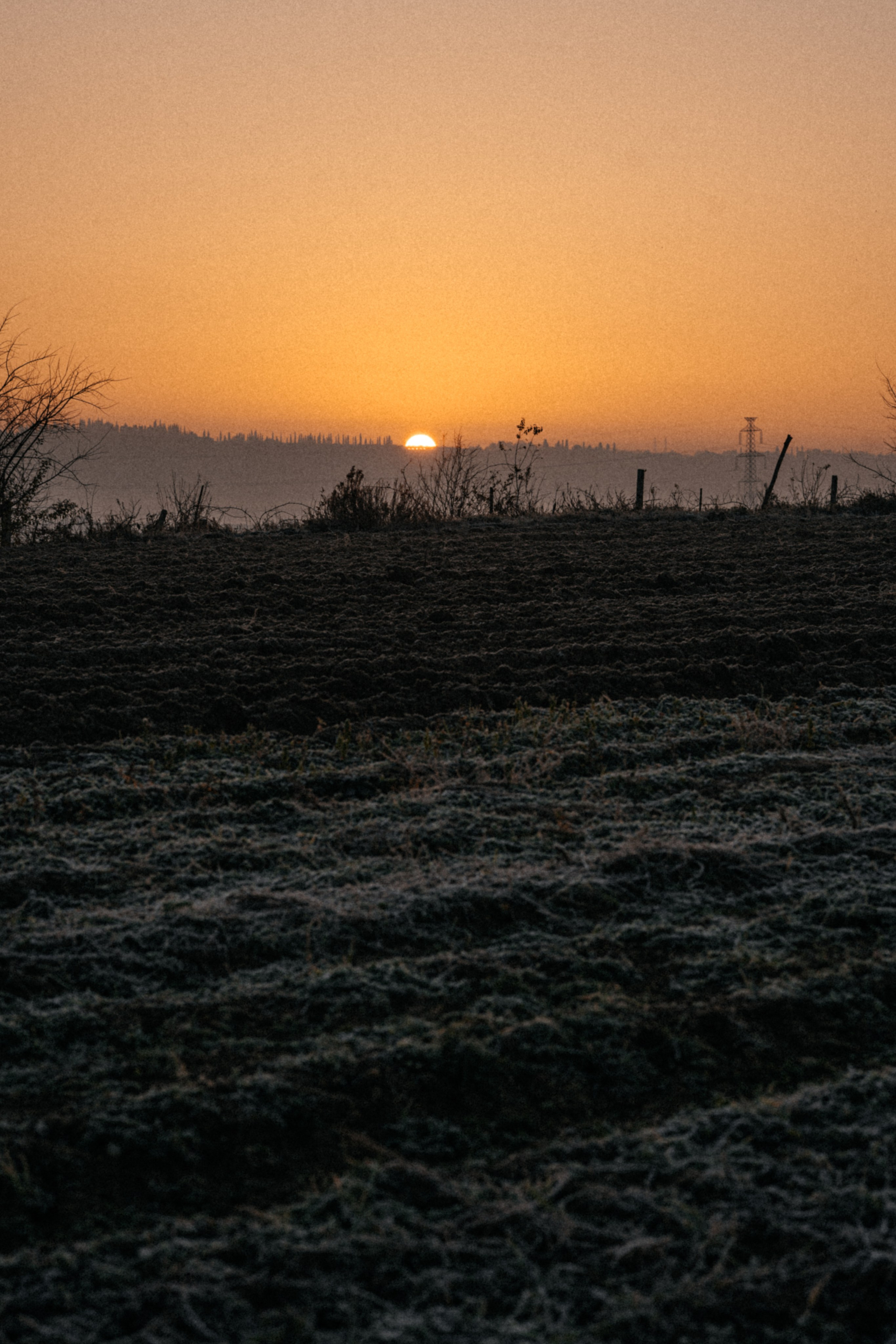 Daniel (Garda Lake, IT). Diana Fedrigo | Fotografa matrimoni in Italia
