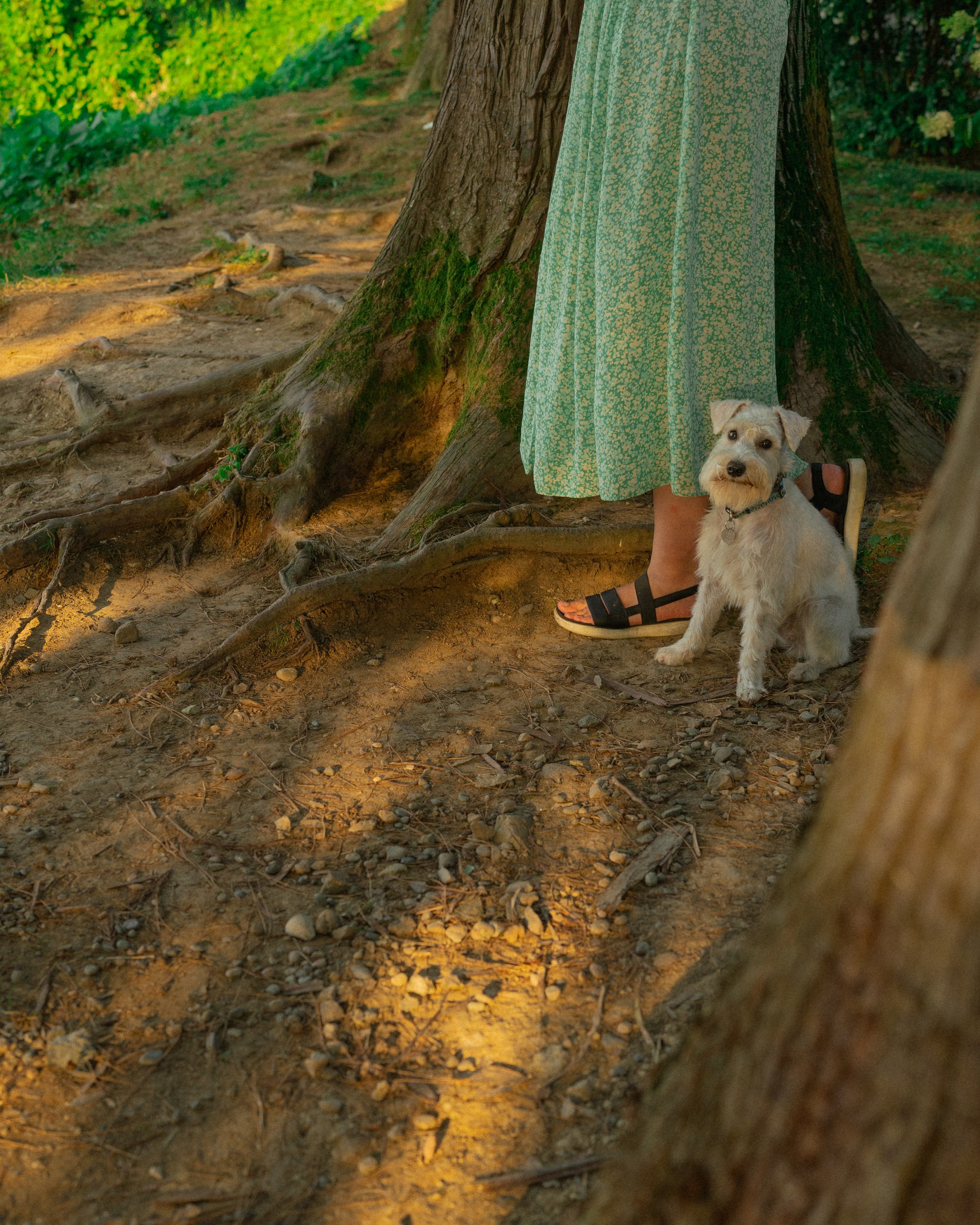 Ольга и Халва. Индивидуальный и свадебный фотограф в Батуми Валерия Азаренко