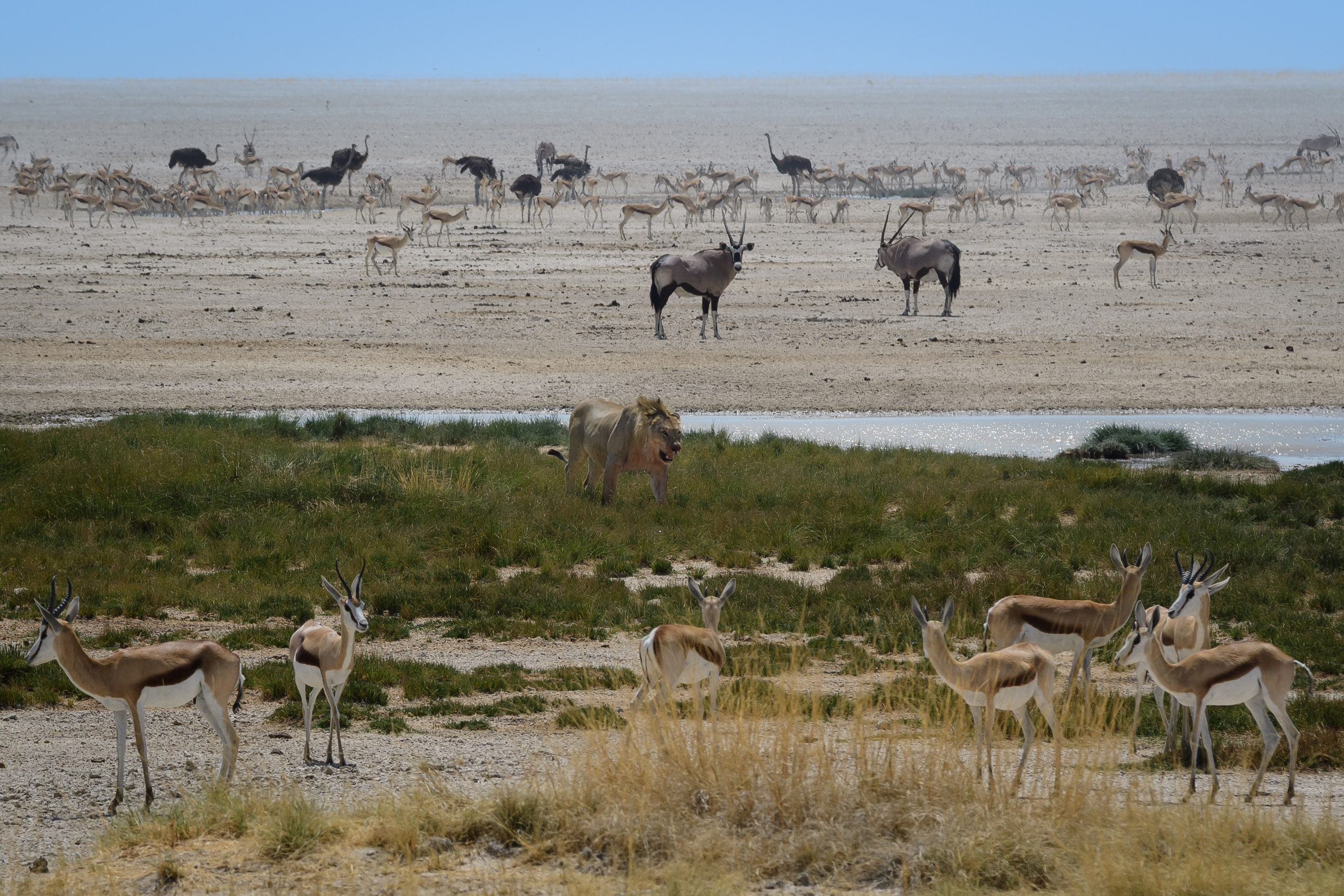 Travel. Klausenburg Photography