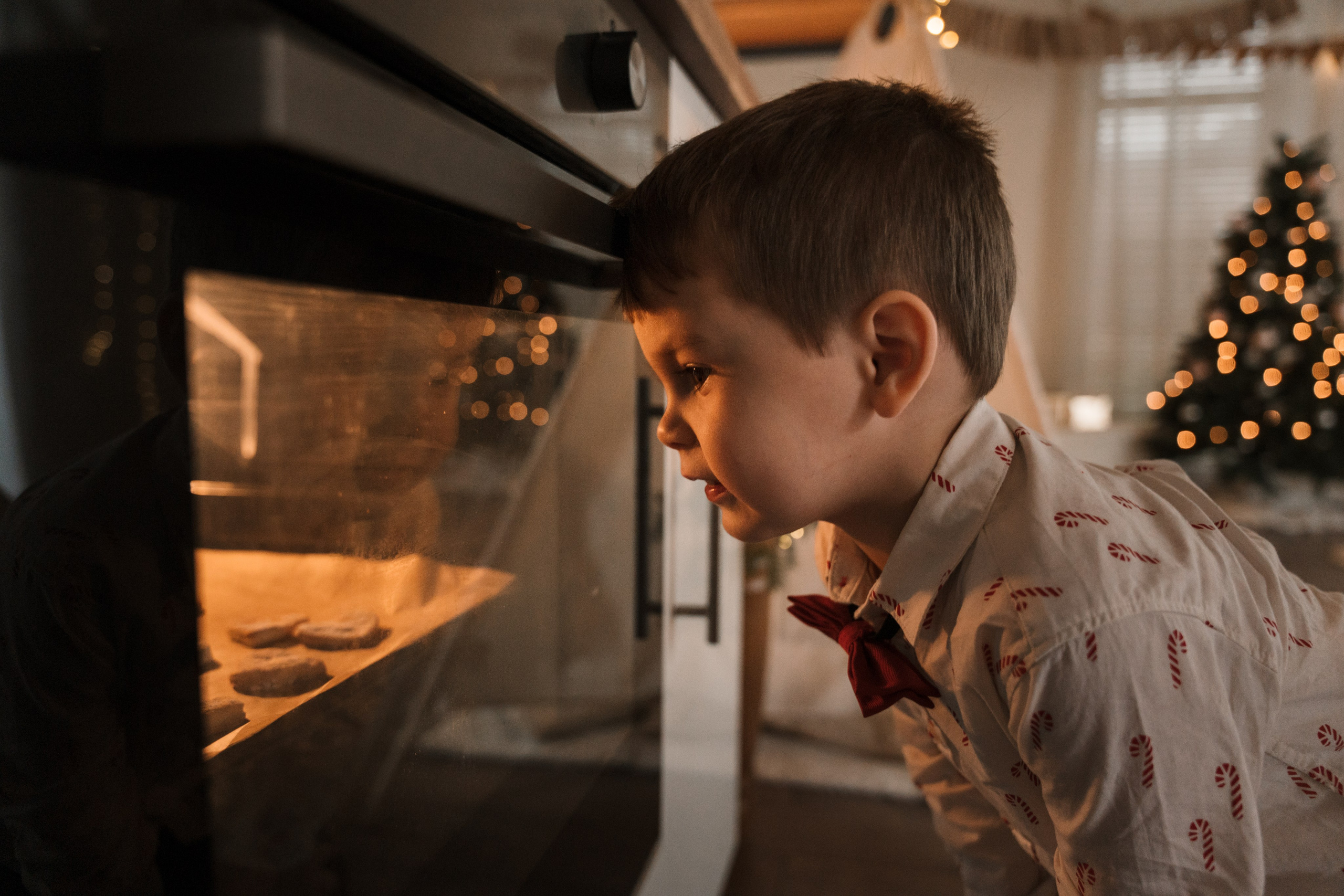 Christmas Family Photoshoot. Elena Seewald