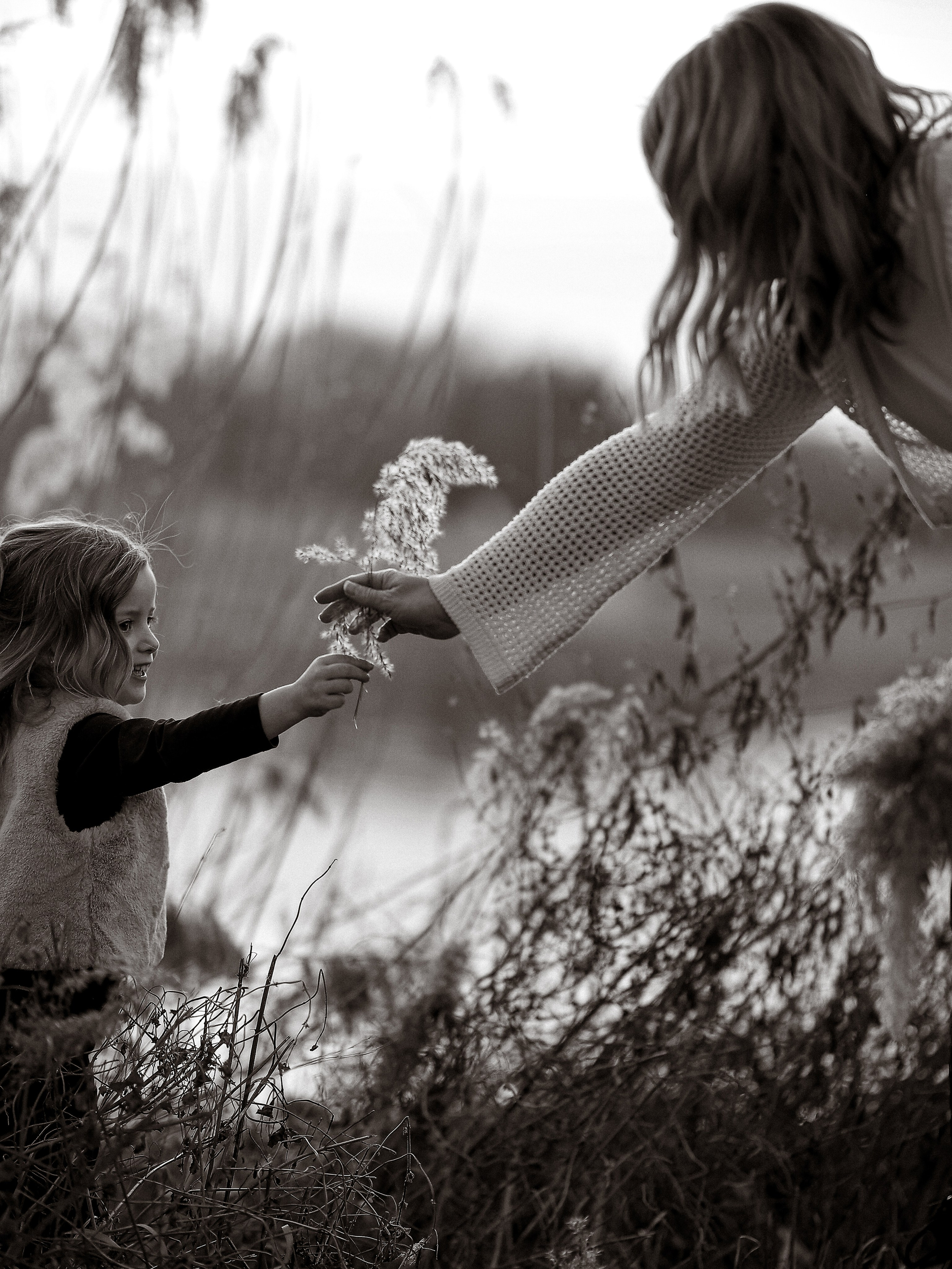 Outdoorshootings | Natürliche Familien-, Kinder- & Portraitfotografie | Albina Vaniyants. Professionelle Familienfotografie, Kinderfotografie und Portraitfotografie in Linz, Oberösterreich - Albina Vaniyants, Fotografin aus OÖ