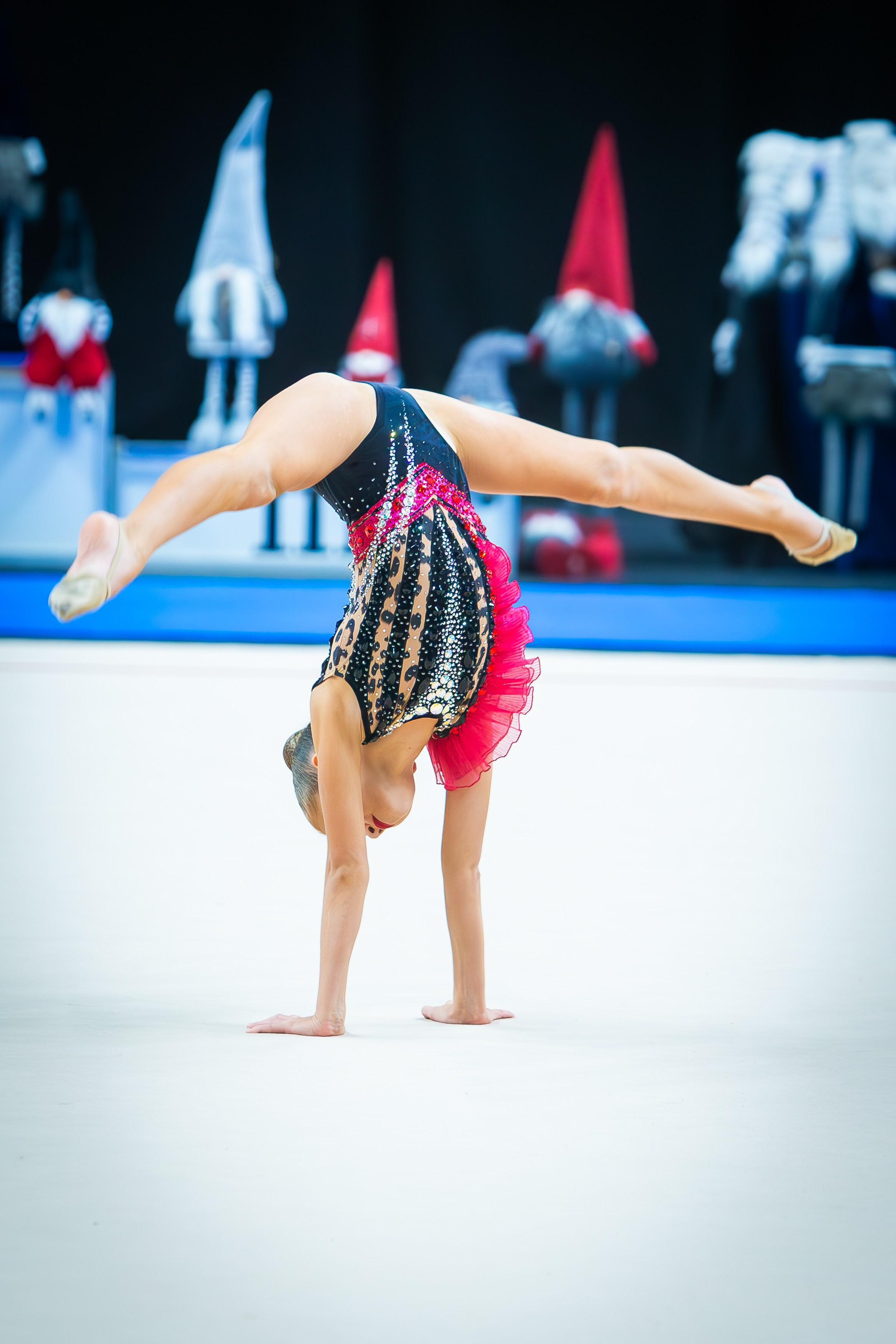 Галерея 2. Спортивная фотография, видео, трансляции