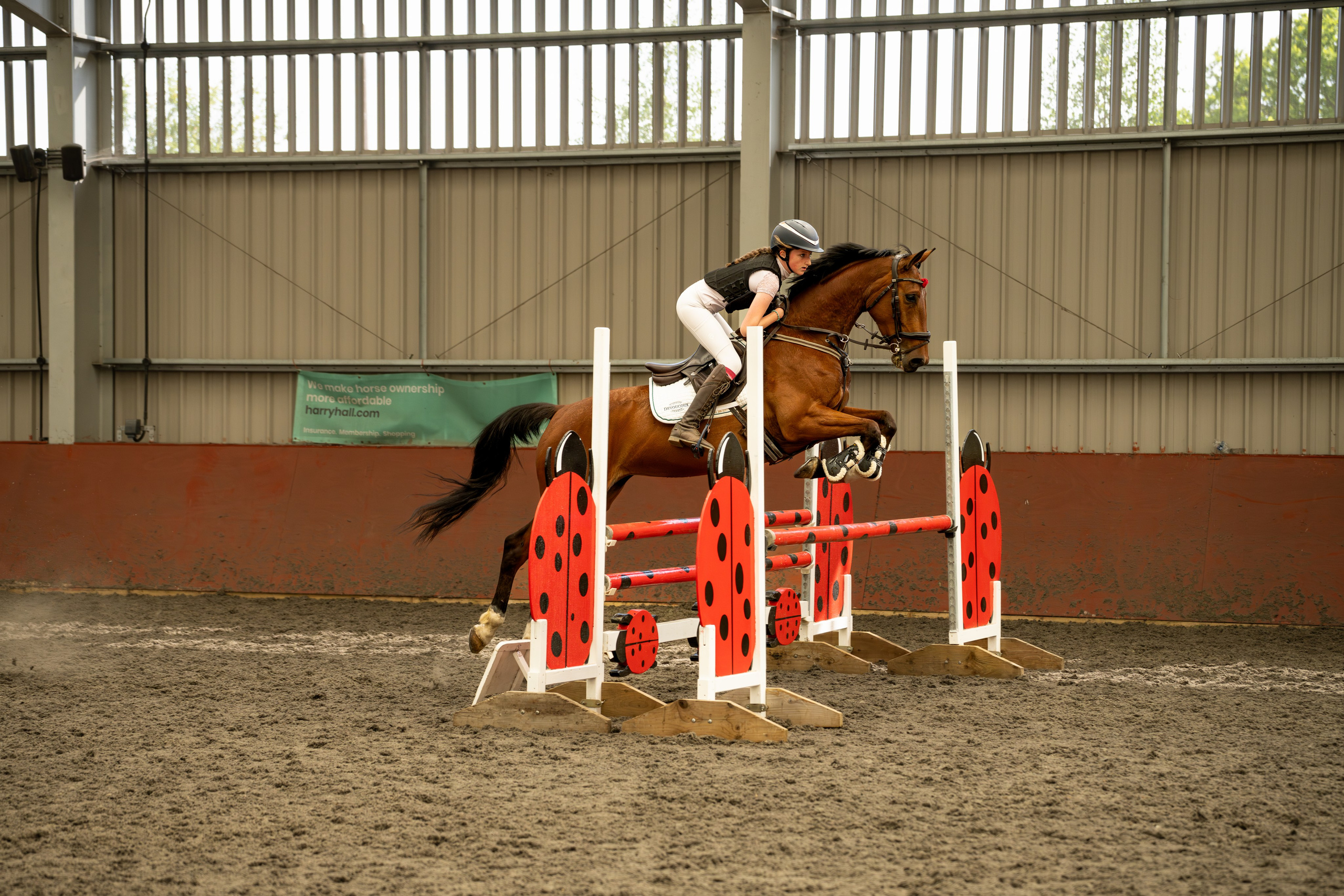 Tense moment before take-off at colourful show jumping course in the Midlands