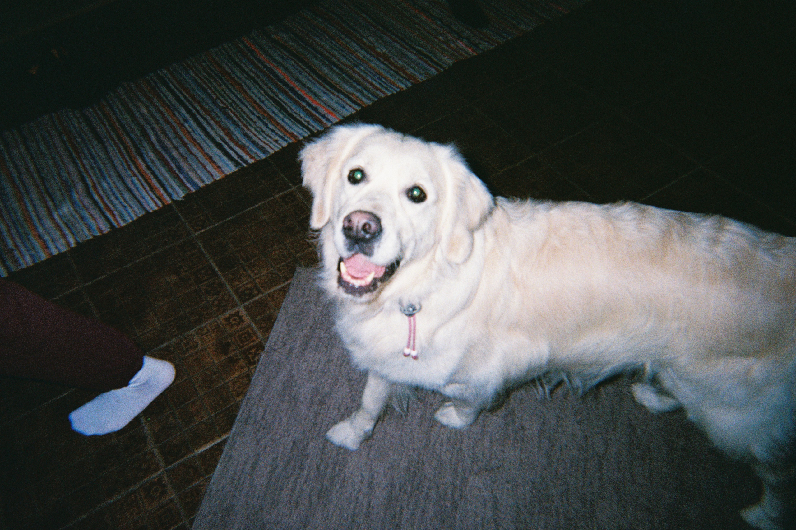 Teambuilding Digital Partners