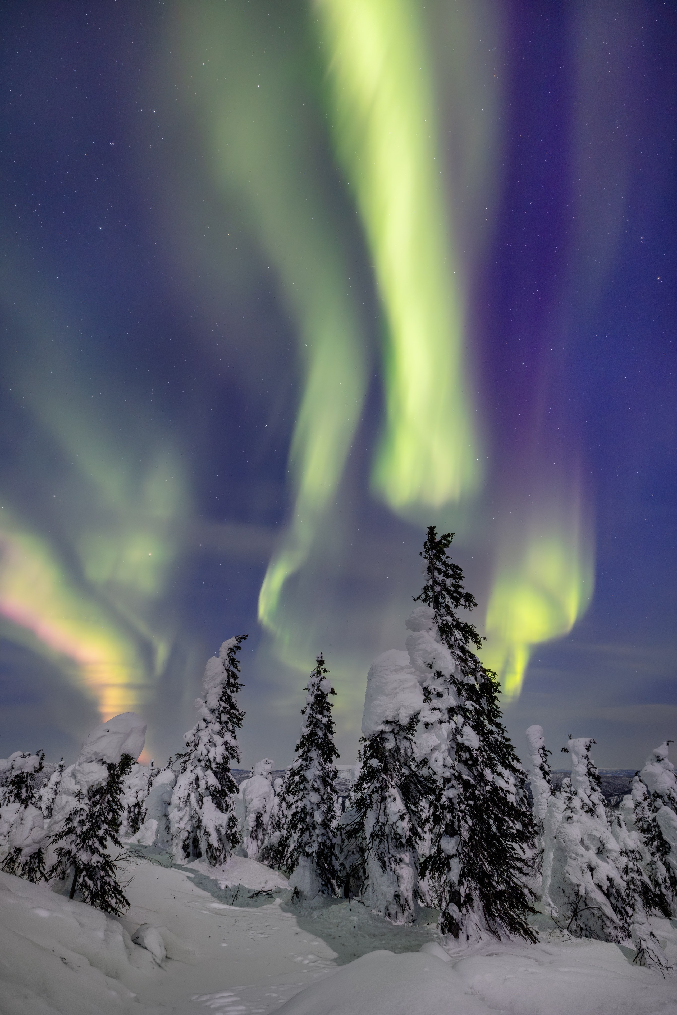 Chasing the Aurora Borealis. Pet, Senior, Landscape, portrait studio, photographer in Miami and Sou