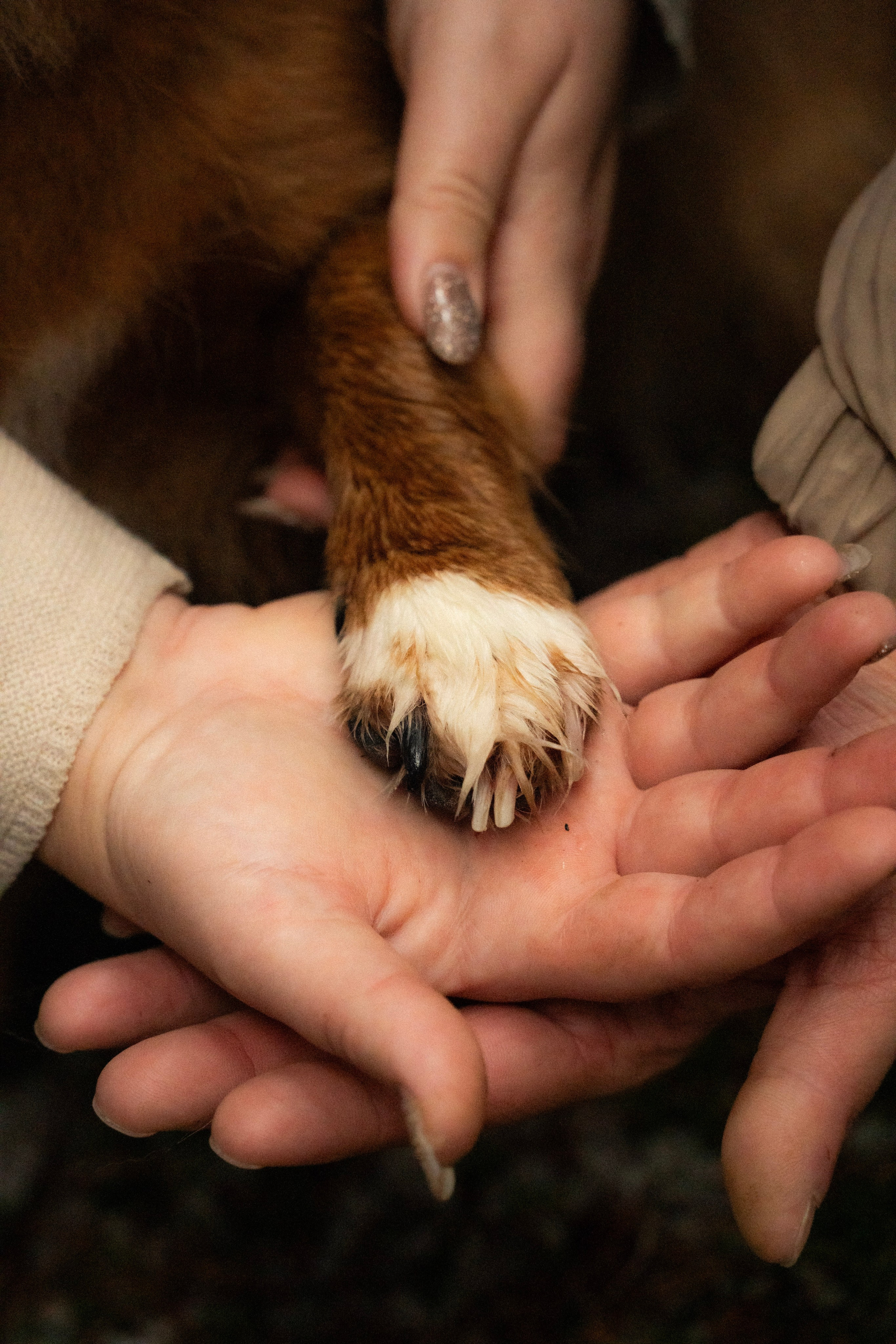 Irina and Oleg. Everwarm Photo and Video Studio